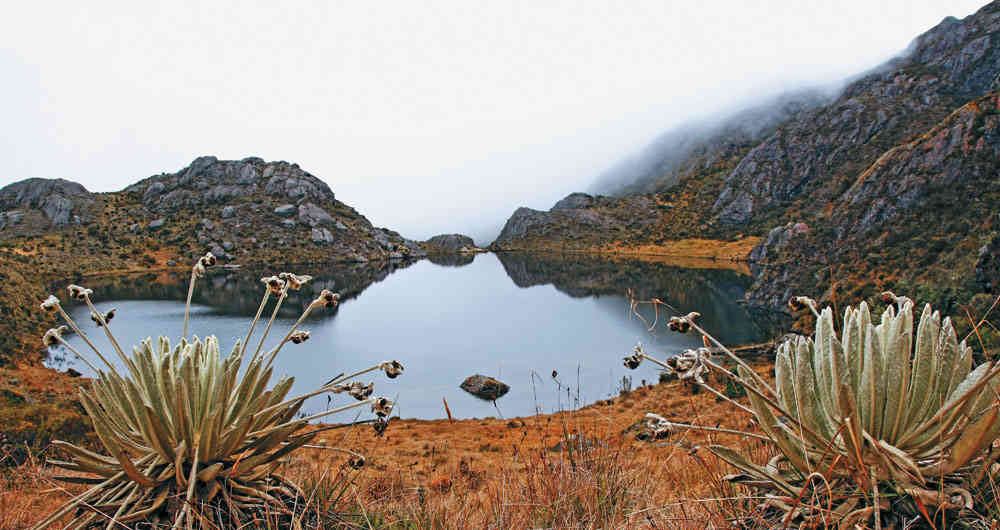Los ambientalistas consideran que la zona donde MInesa pretende trabajar hace “parte integral del ecosistema del complejo del páramo de Santurbán”. Y  que el agua que sale de allí alimenta acueductos de 23 cabeceras municipales, entre ellas la de Bucaramanga.
