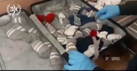 La unidad de detectives de la región de Netherberg arrestó a un residente de Ramat Gan esta semana bajo sospecha de contrabandear docenas de reptiles a Israel, incluidas peligrosas serpientes estranguladoras tipo anaconda.