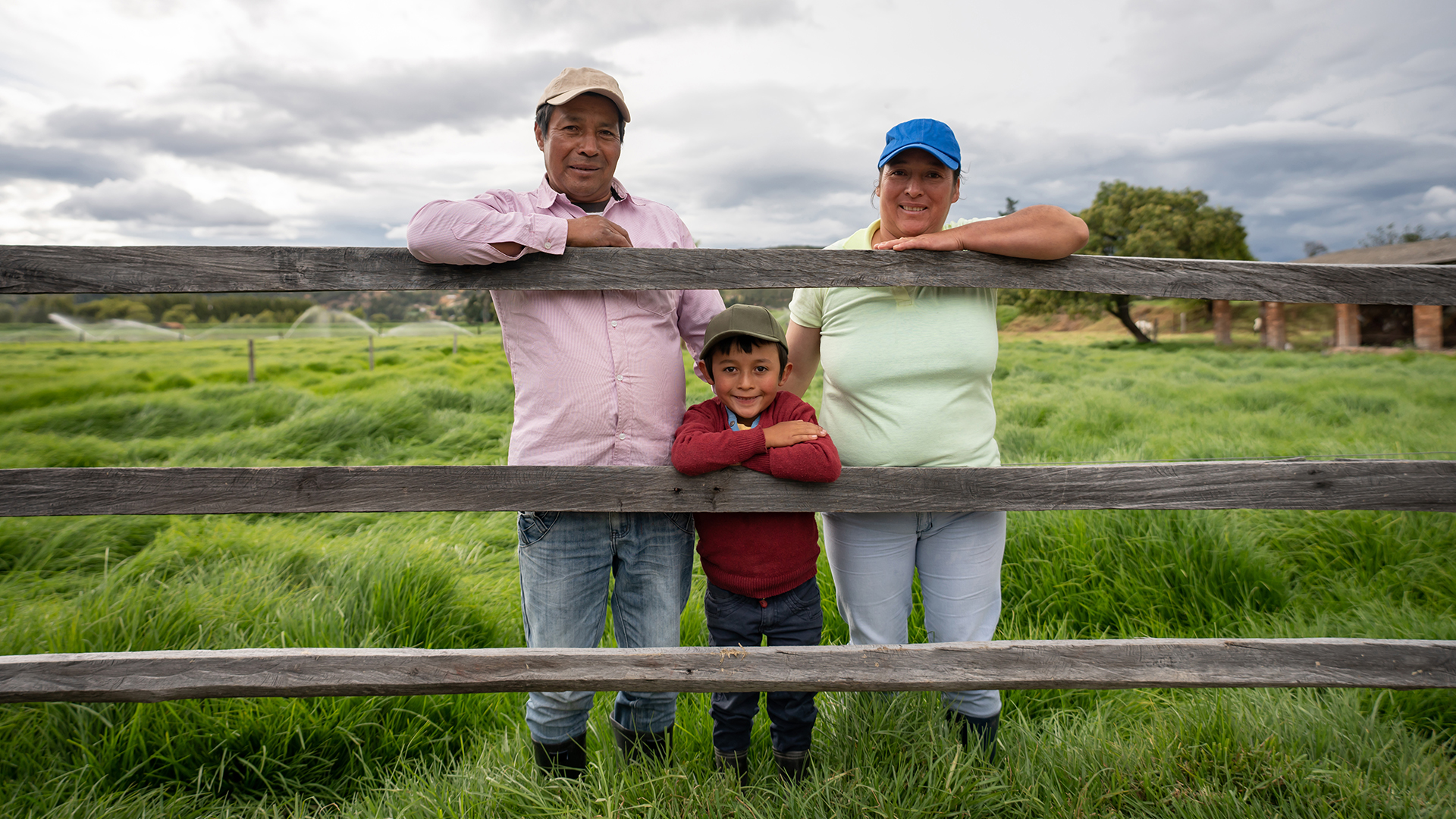 Las aseguradoras están concentradas en el fortalecimiento de la educación financiera en seguros entre la población.