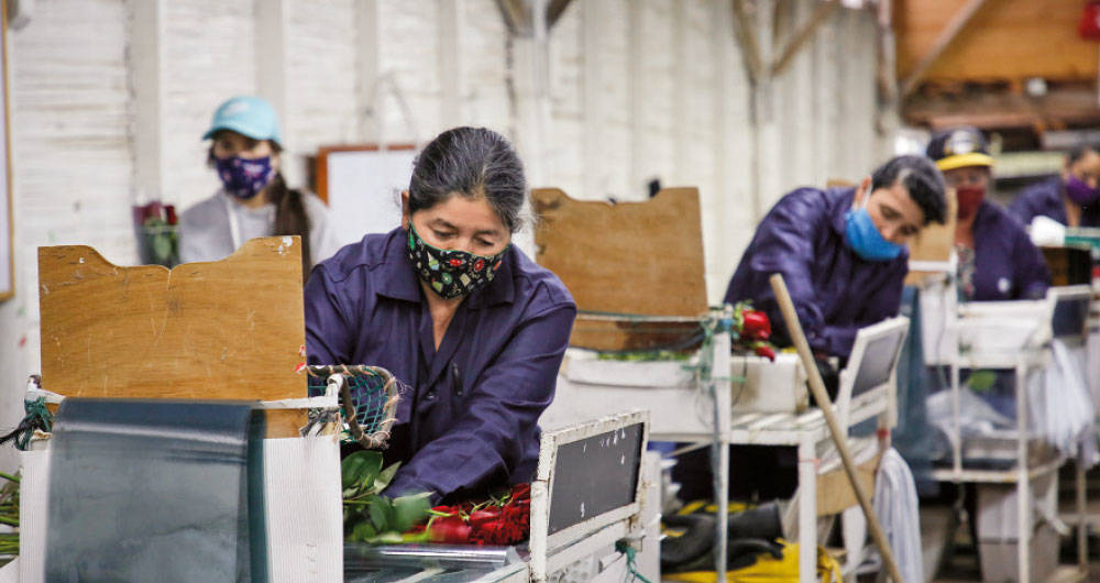 apoyar la compra de productos nacionales, como la mejor manera de avanzar en la recuperación del país.