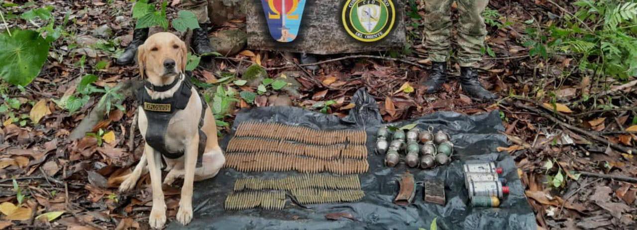 Los hechos se registraron en el municipio de Puerto Rico.