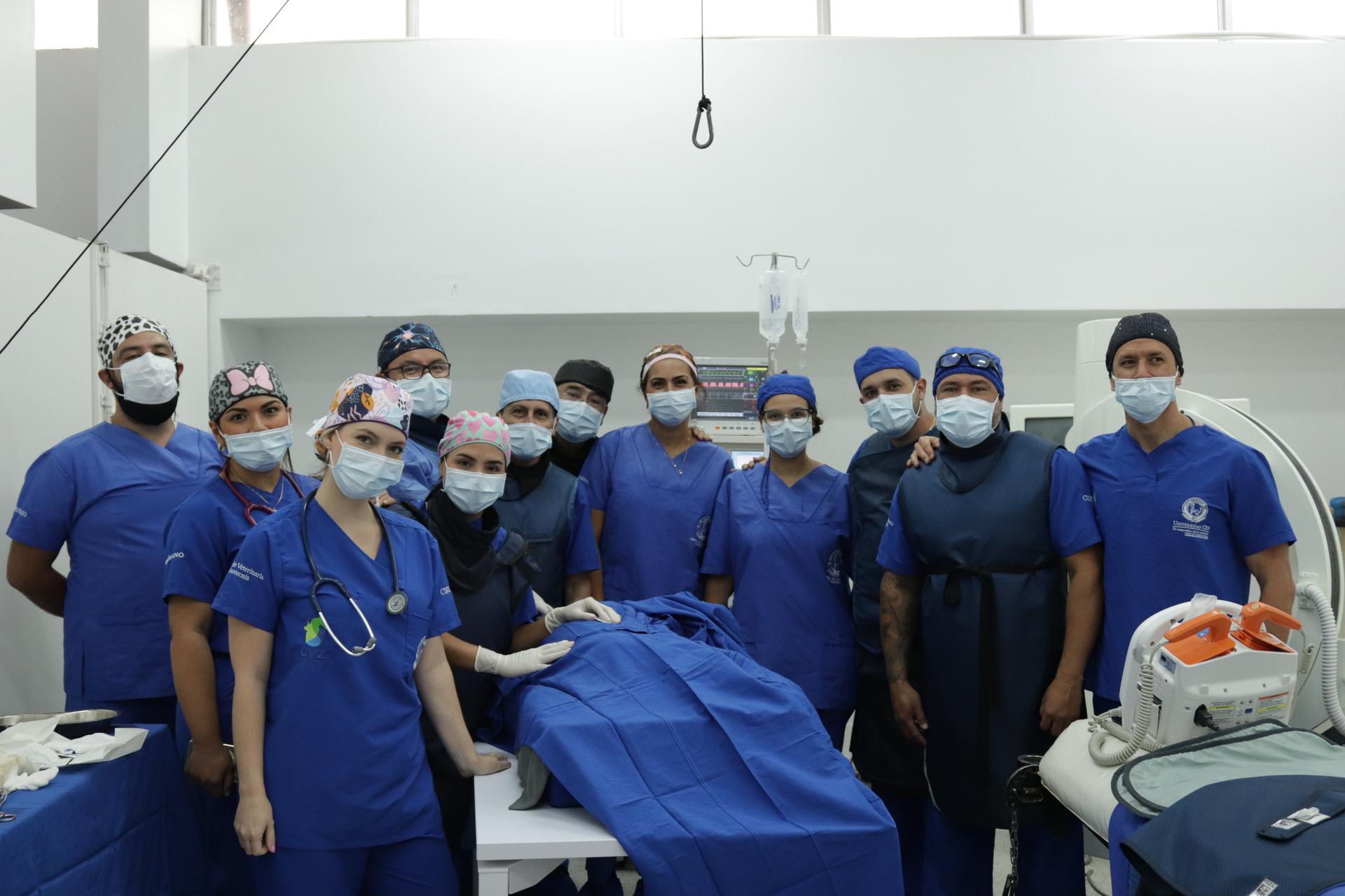 Procedimiento quirúrgico en un perro.