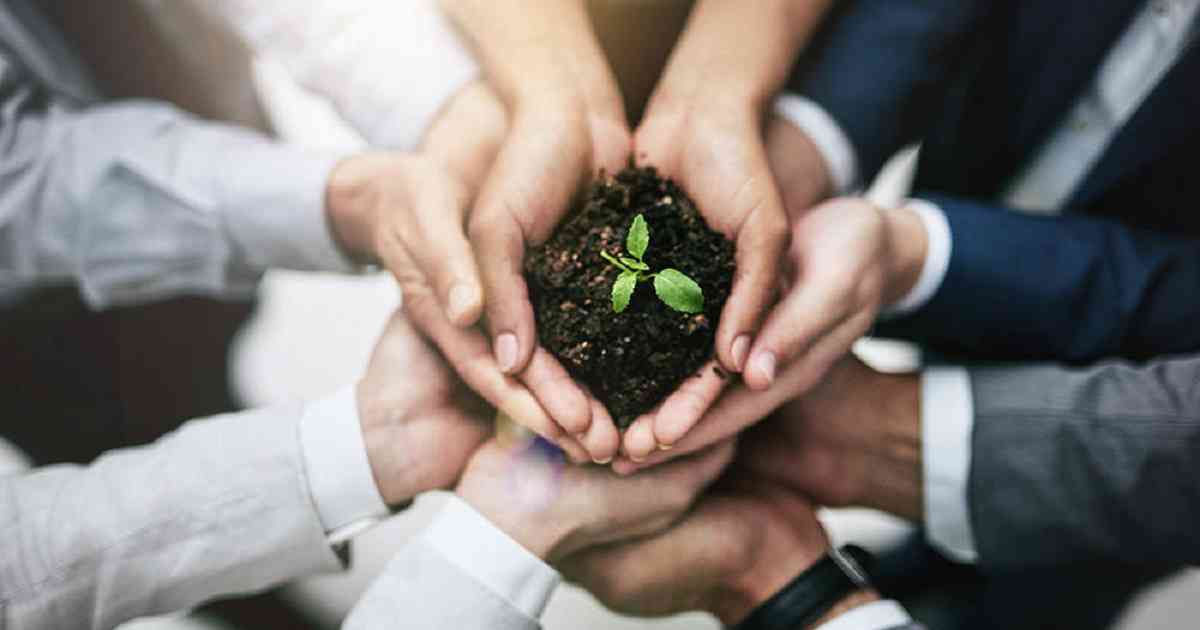 El desarrollo de negocios sostenibles será clave en la recuperación de la región. Foto: Archivo Semana