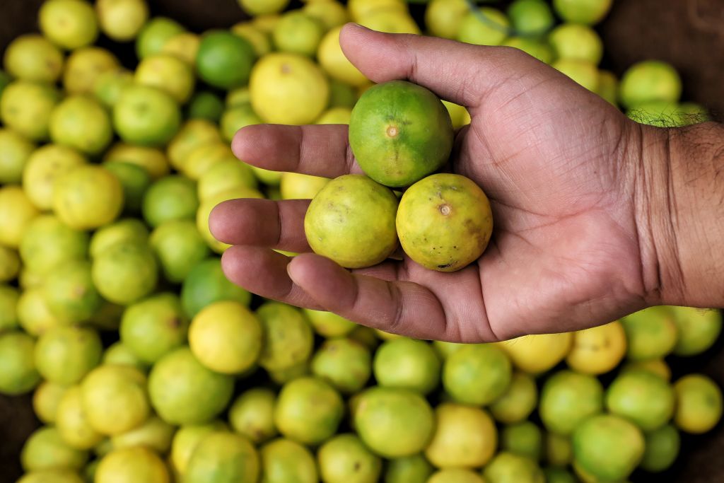 Conozca si el jugo de limón es apropiado para el acné
