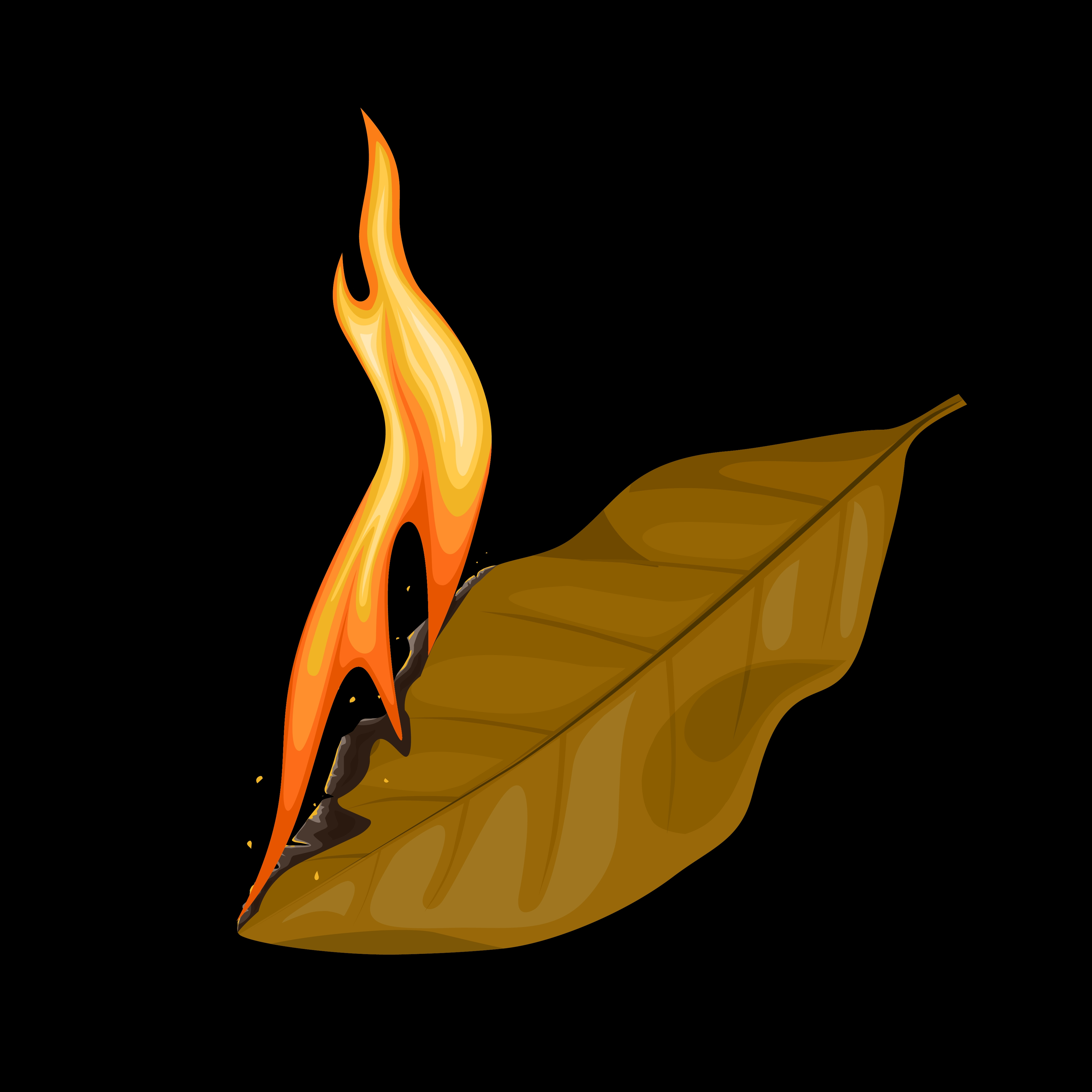 laurel y fuego