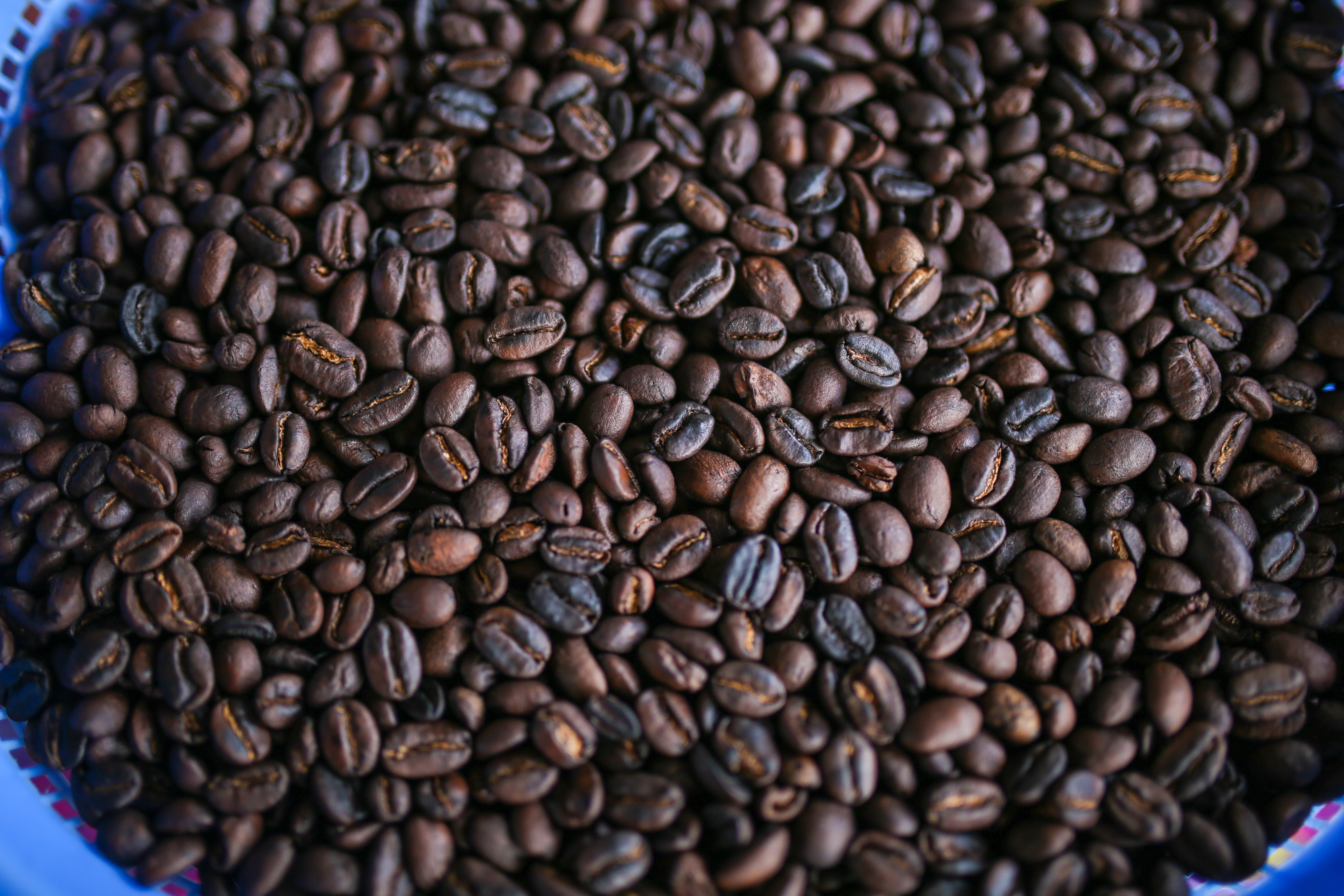 Cafe colombiano. (Photo by Juancho Torres/Anadolu Agency via Getty Images)