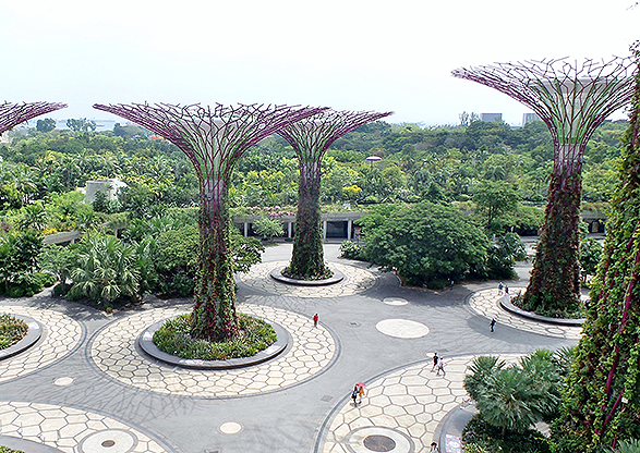 Singapur: Árboles de 50 metros que generan electricidad