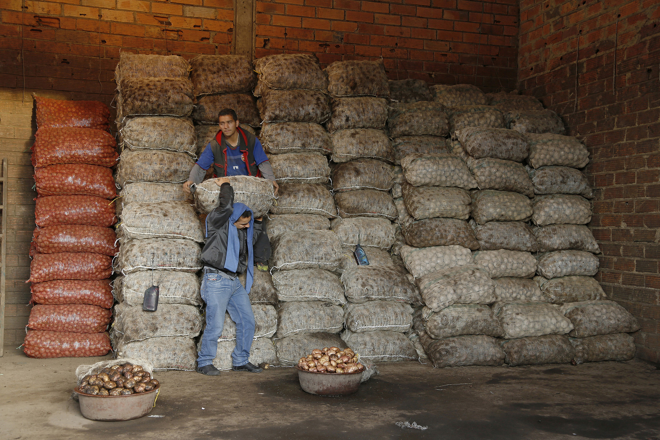 Solo la papa subió en un año 140%. Después de que los cultivadores del tubérculo presentaron perdidas en noviembre de 2020, tuvieron que regalar el producto, mientras los créditos bancarios corrían en su contra, solo hasta ahora se están tratado de recuperar de las afectaciones. Este es un coletazo de la pandemia y el paro nacional. Foto: Guillermo Torres