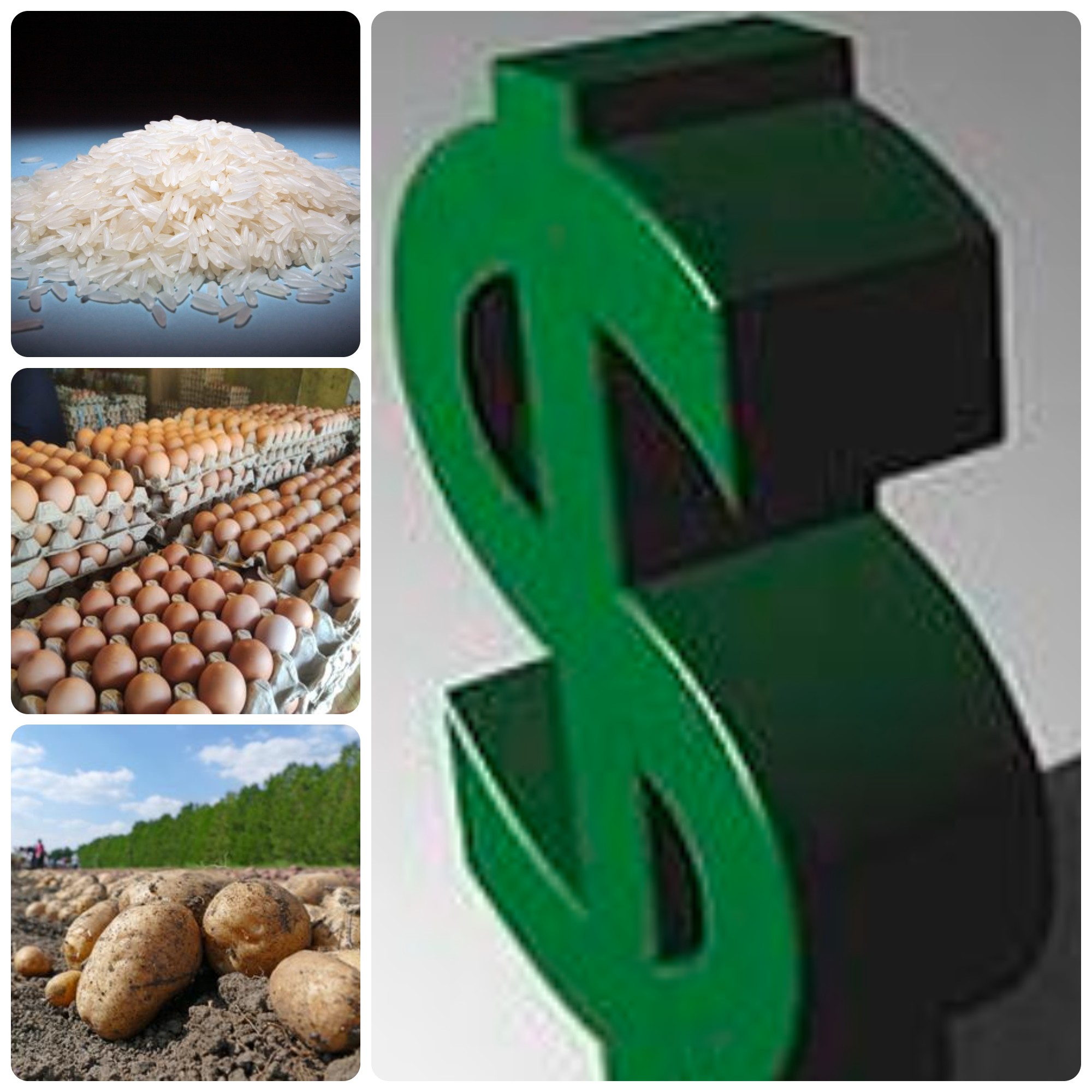 Precios de alimentos indispensables.