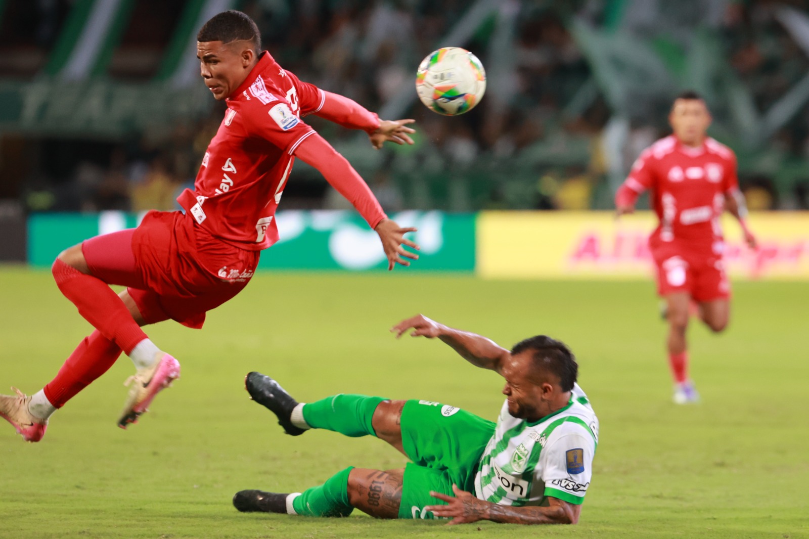 Caldo de pollo telegram hoy
