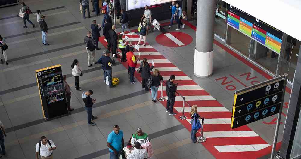 Dinero conversó con representantes de Avianca, Latam Airlines, Viva Air y Wingo para conocer cuál ha sido el balance de este año, cómo va la reactivación de sus vuelos y frecuencias y los planes que están trabajando para la temporada de fin de año que está arrancando. 