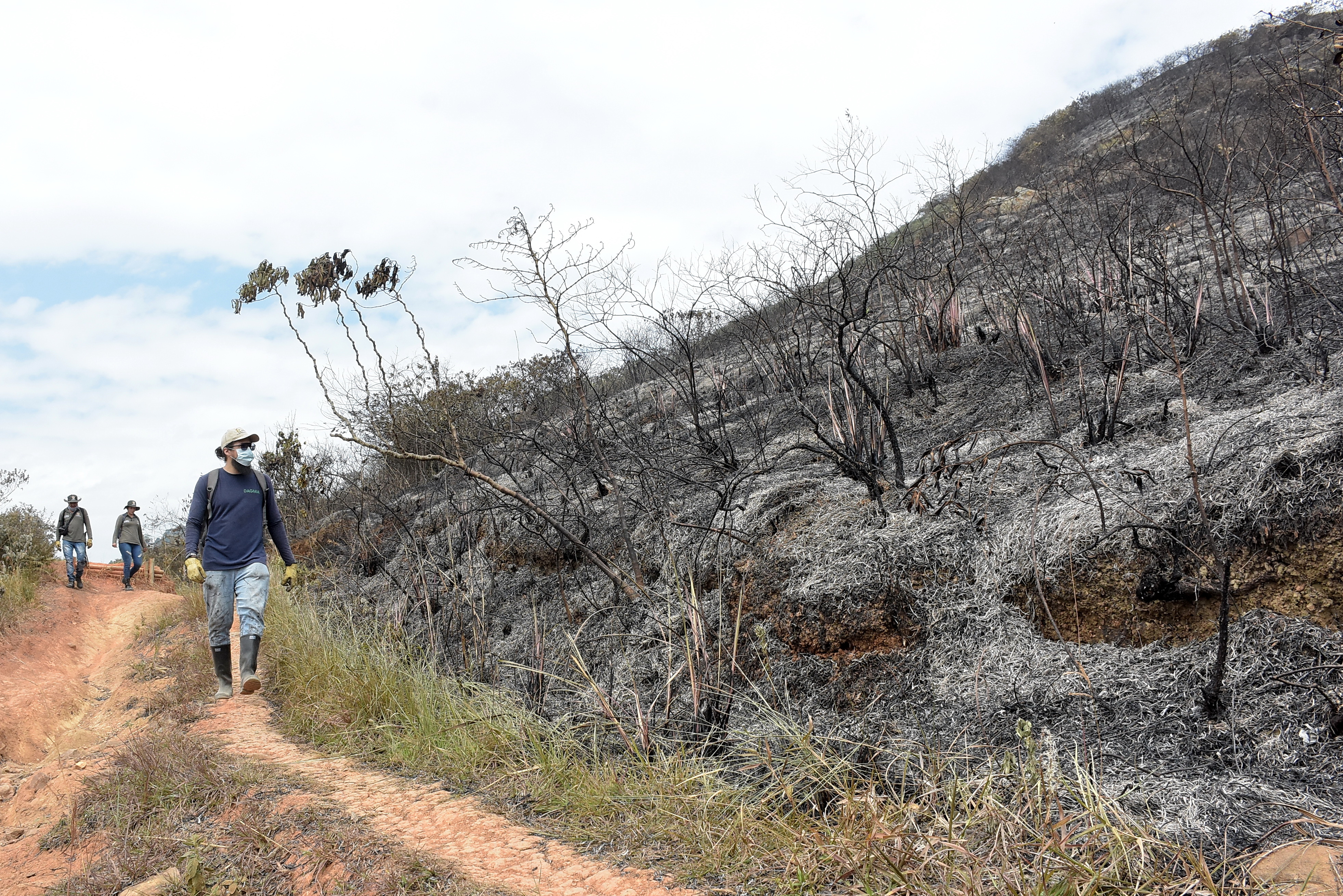 Preocupación en Santa Marta por uso de armas de fogueo en hurtos - Otras  Ciudades - Colombia 