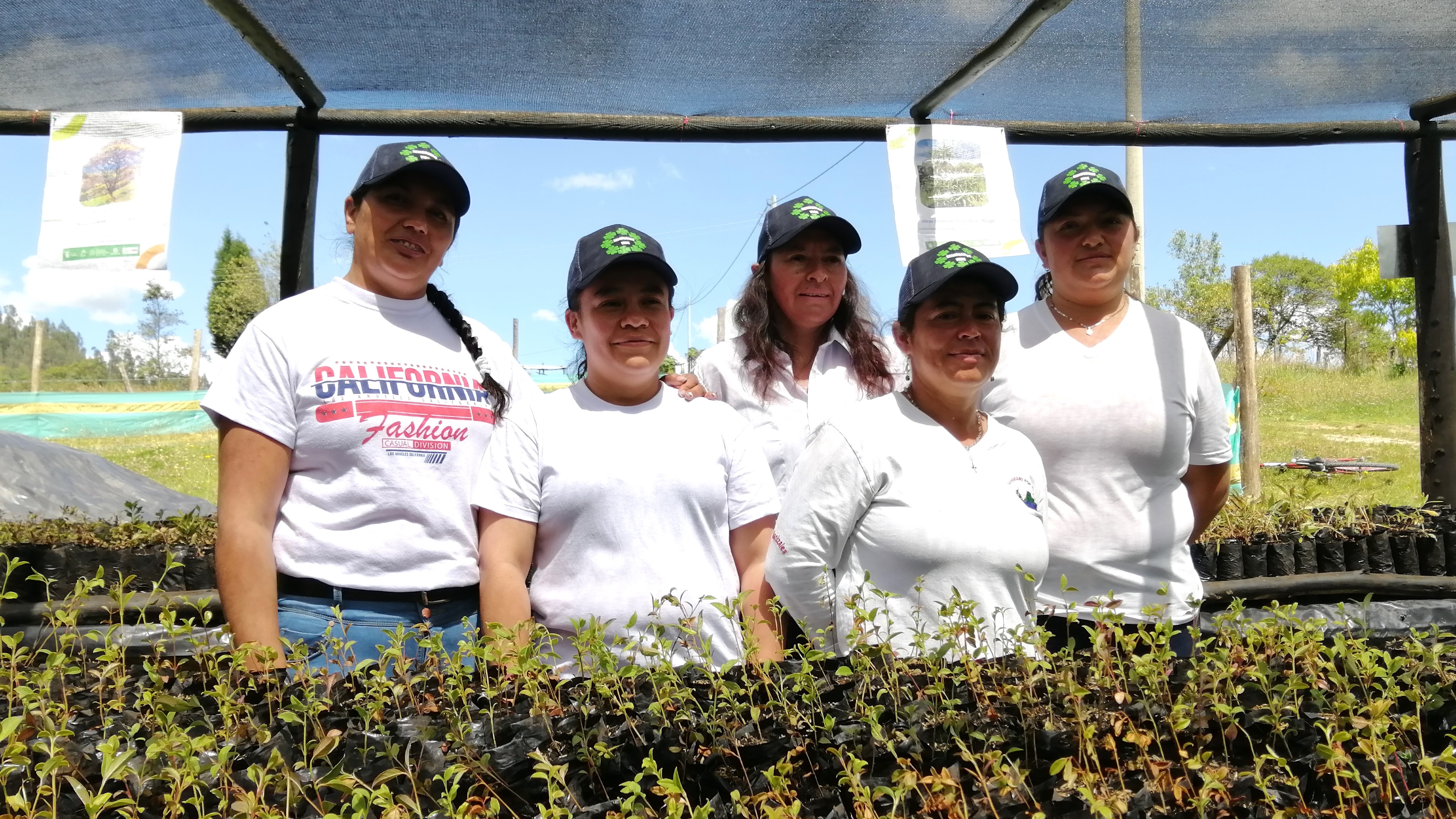 NO USAR, USO EXCLUSIVO MEJOR COLOMBIA, Content Gensa