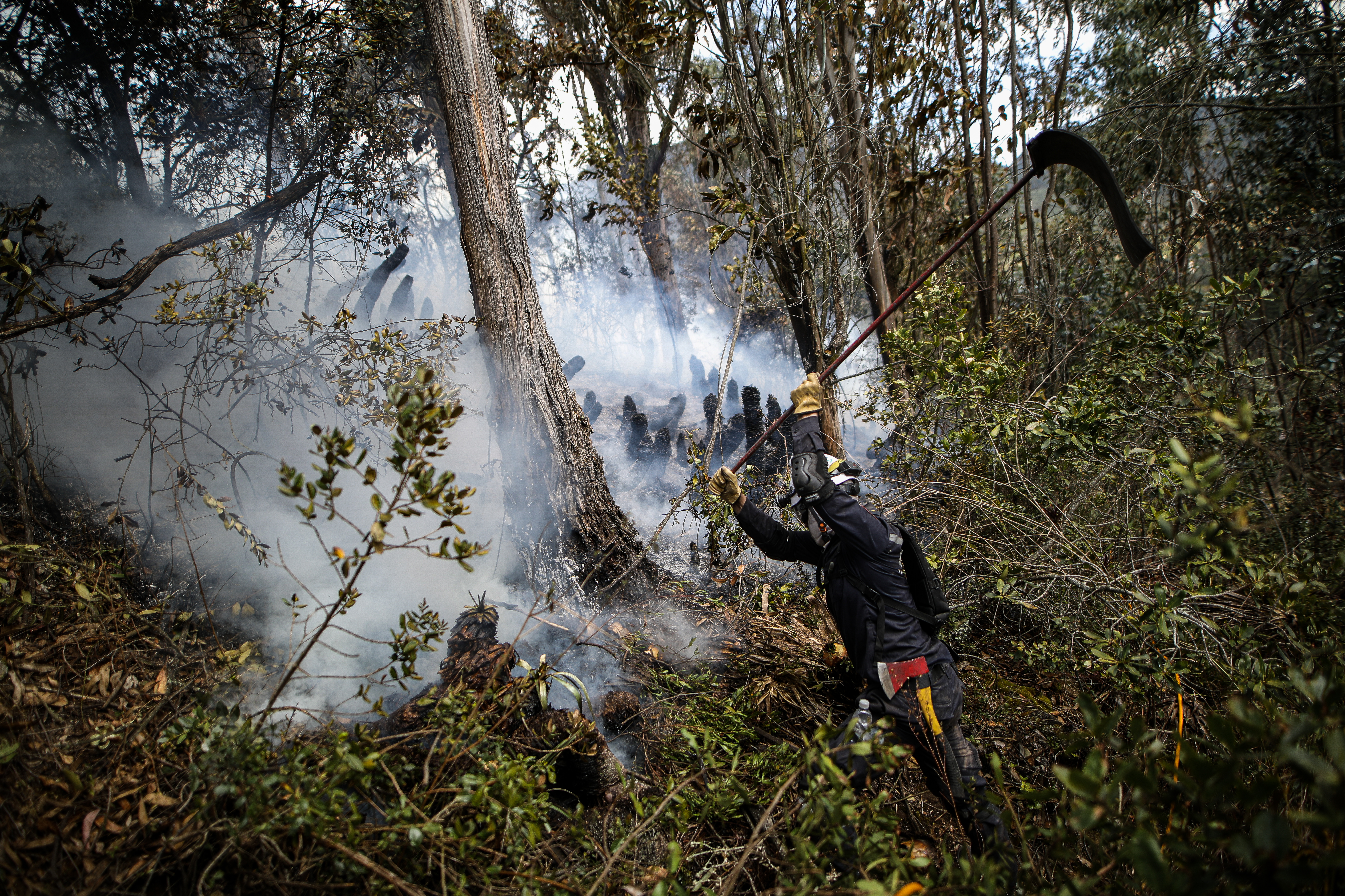 Incendios forestales en el municipio de Sopo Cundinamarca