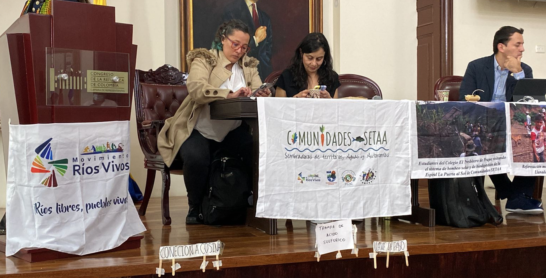 Melisa Ruiz, viceministra de energía, actualmente encargada de la cartera de Minas, durante audiencia pública sobre transición energética.