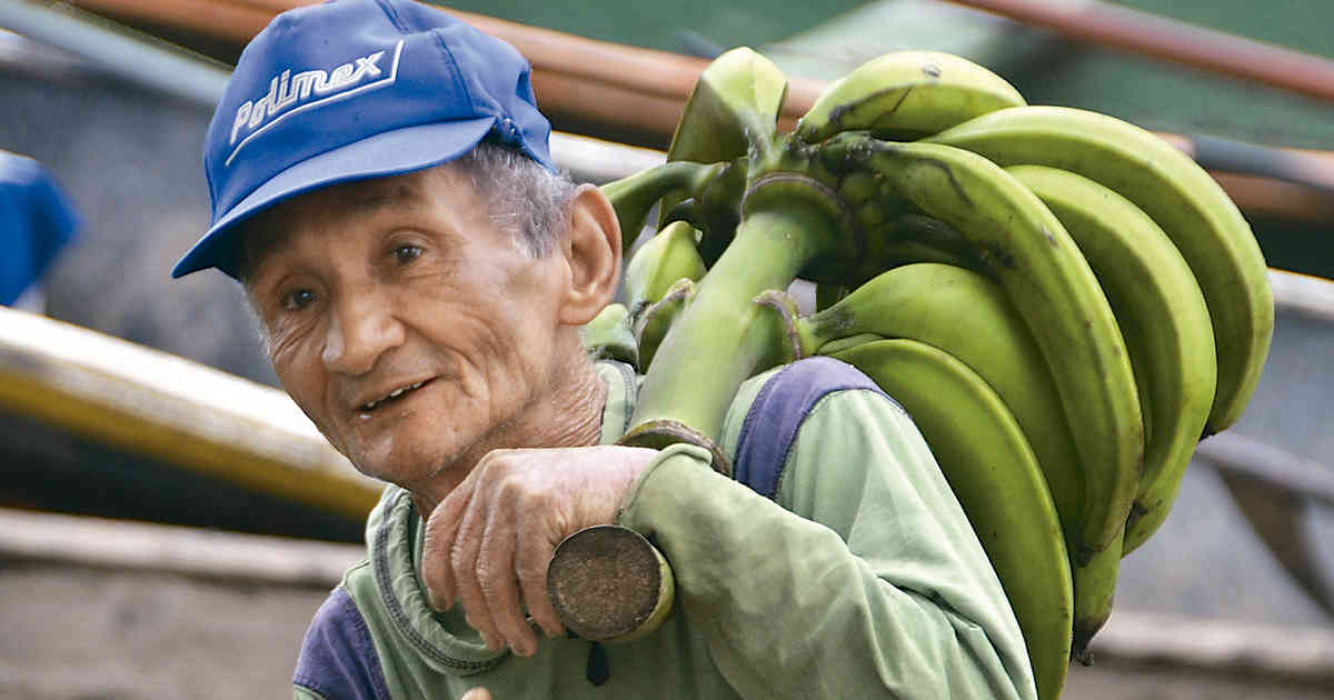 En el muelle de Puerto Leguizamo, un señor descarga un racimo de plátanos, uno de los productos más comercializados en las riberas del río Putumayo.