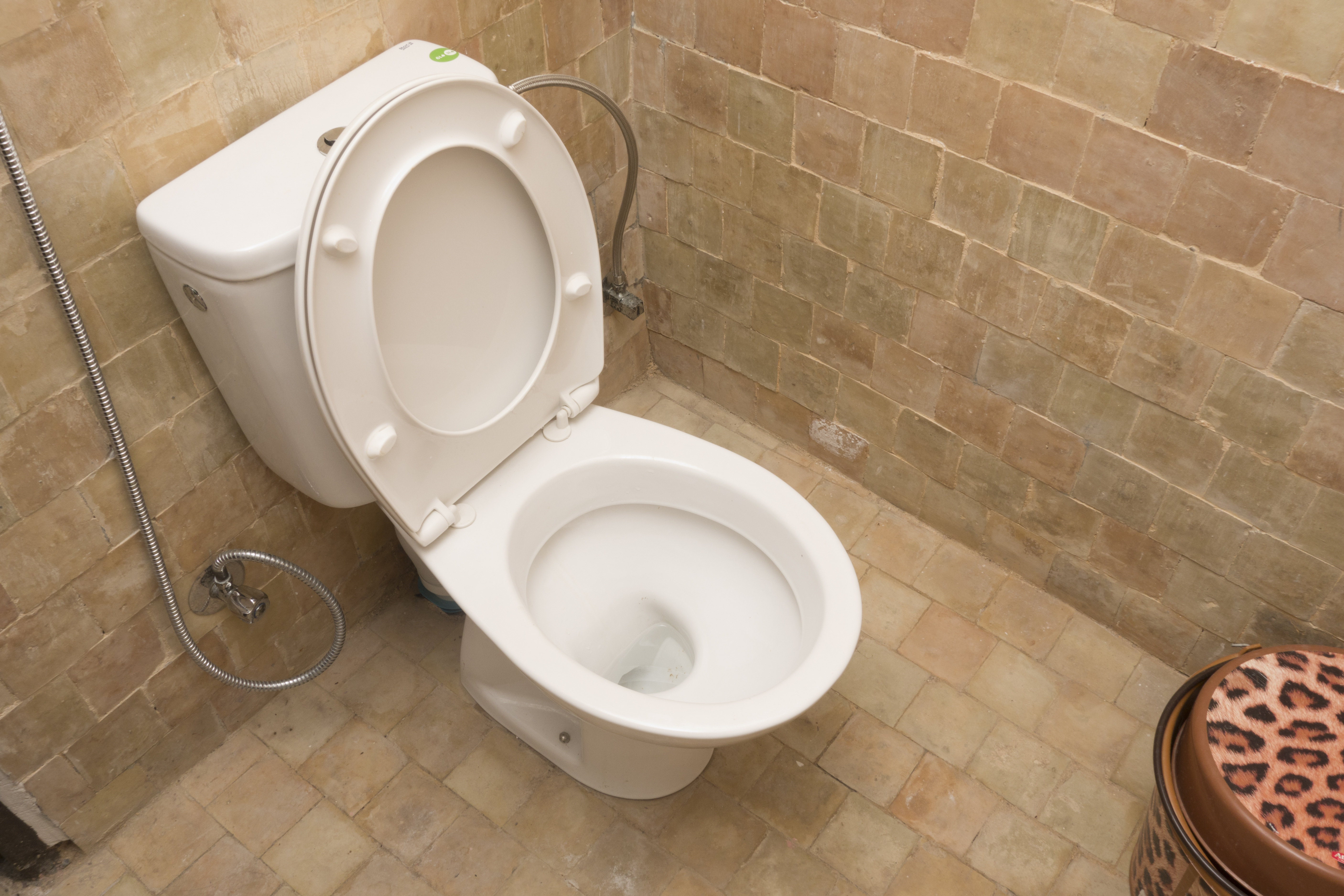 Inodoro en el baño.