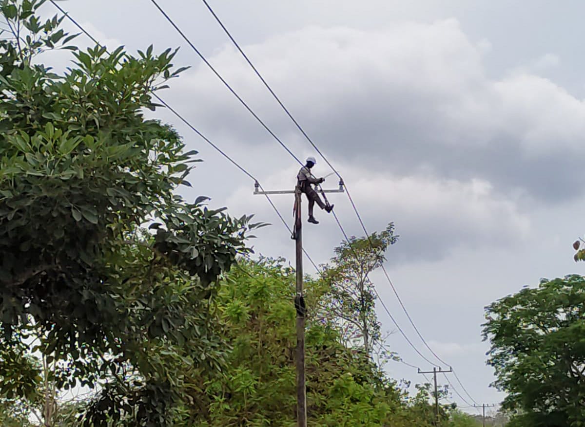Así lo denunció este martes Afinia