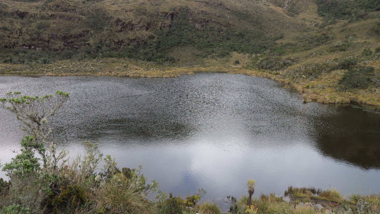 En los corrido del mes de septiembre, el Santuario de Flora y Fauna de Iguaque ha recibido 130 visitantes.