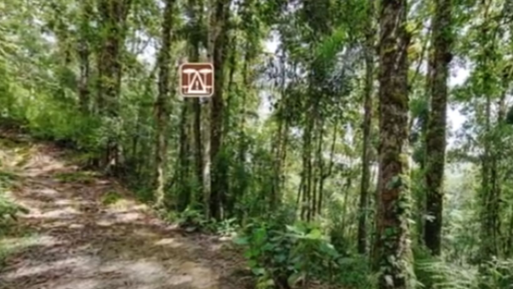 Los Parques Naturales del Caquetá son ideales para quienes disfrutan del contacto con la naturaleza