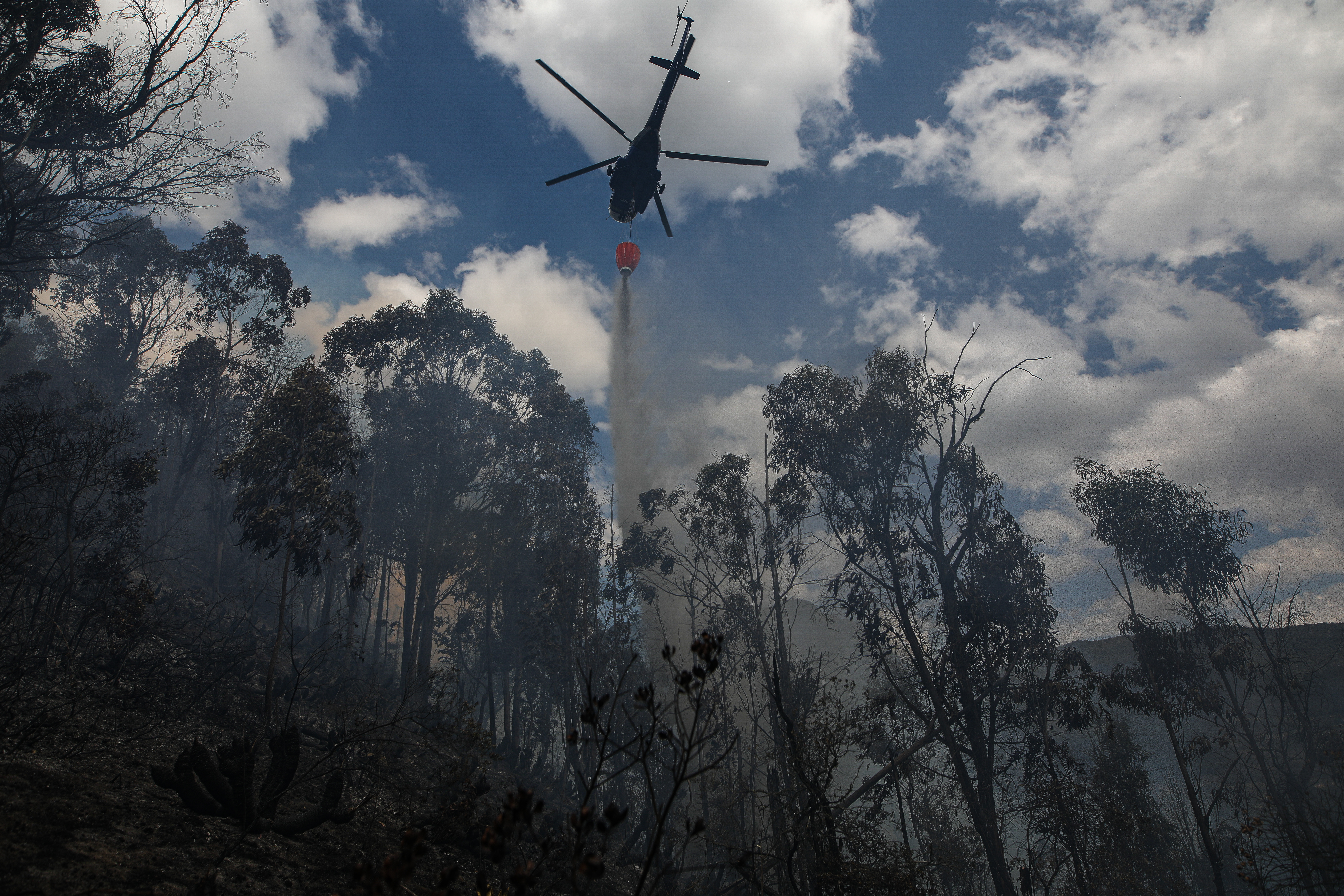 Incendios forestales en el municipio de Sopo Cundinamarca