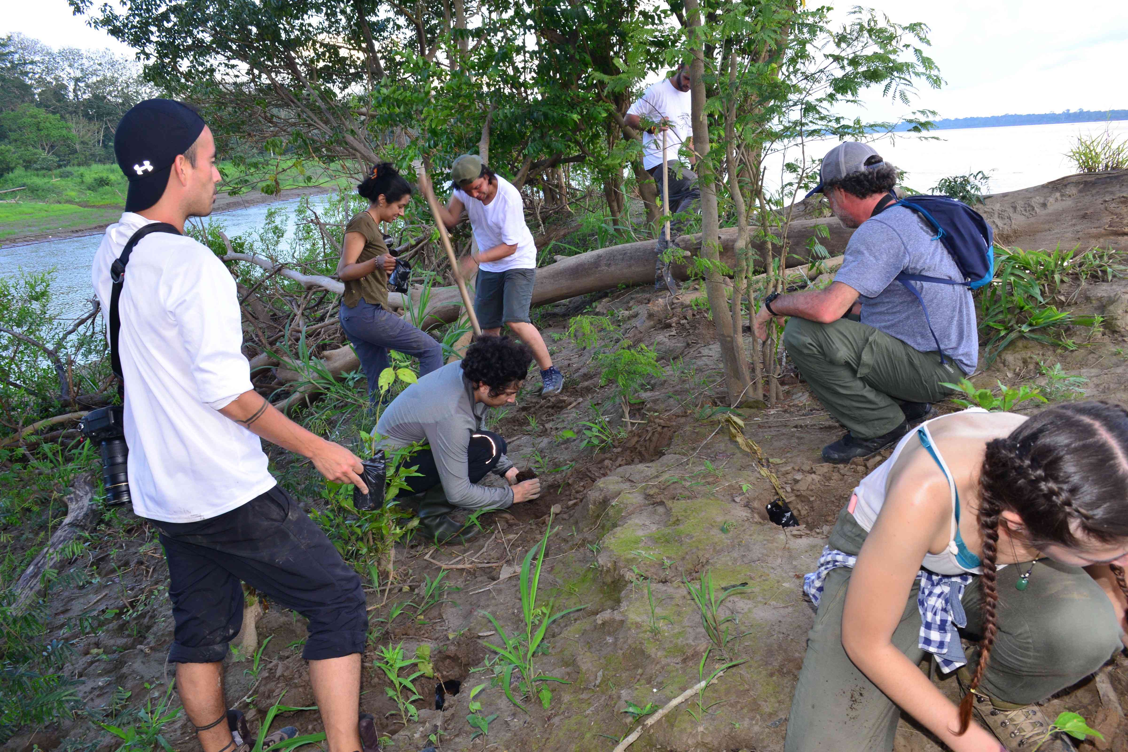 Adelantan campaña para recuperar los bosques inundables de la Amazonia