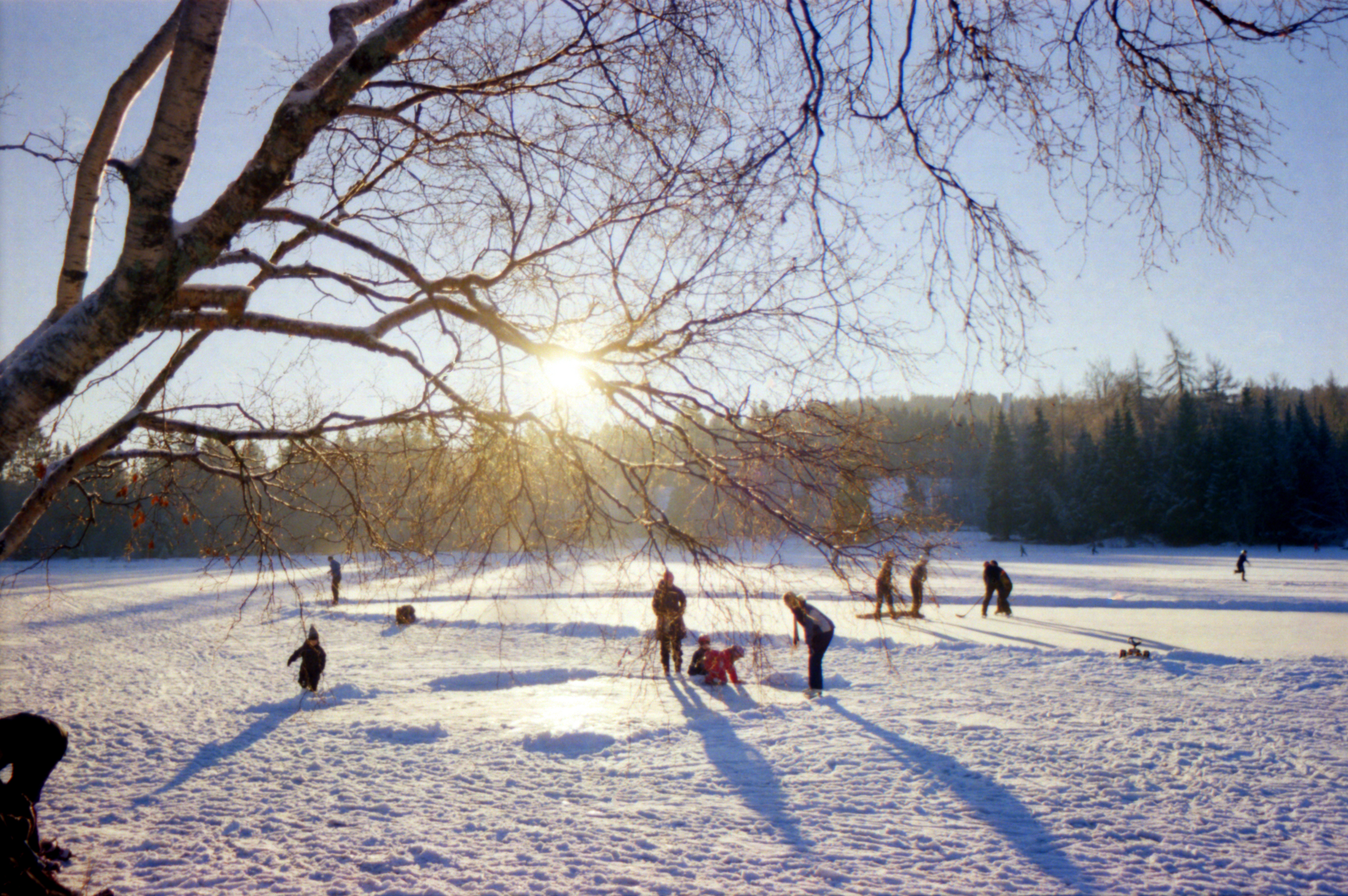a group of people ice skating on a frosted lake on a sunny winter day