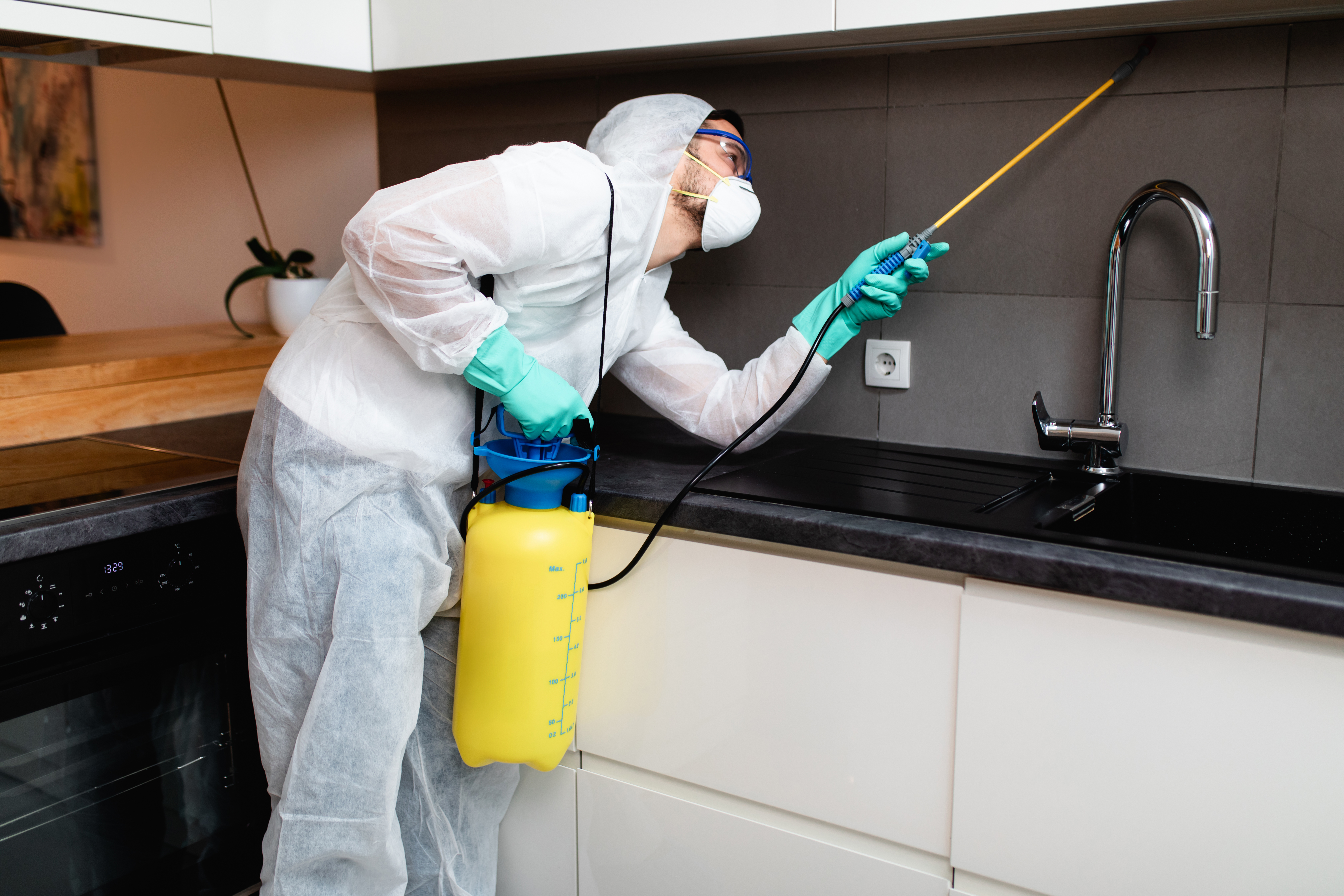 Dónde colocar los electrodomésticos en la cocina? - Tempore Casa