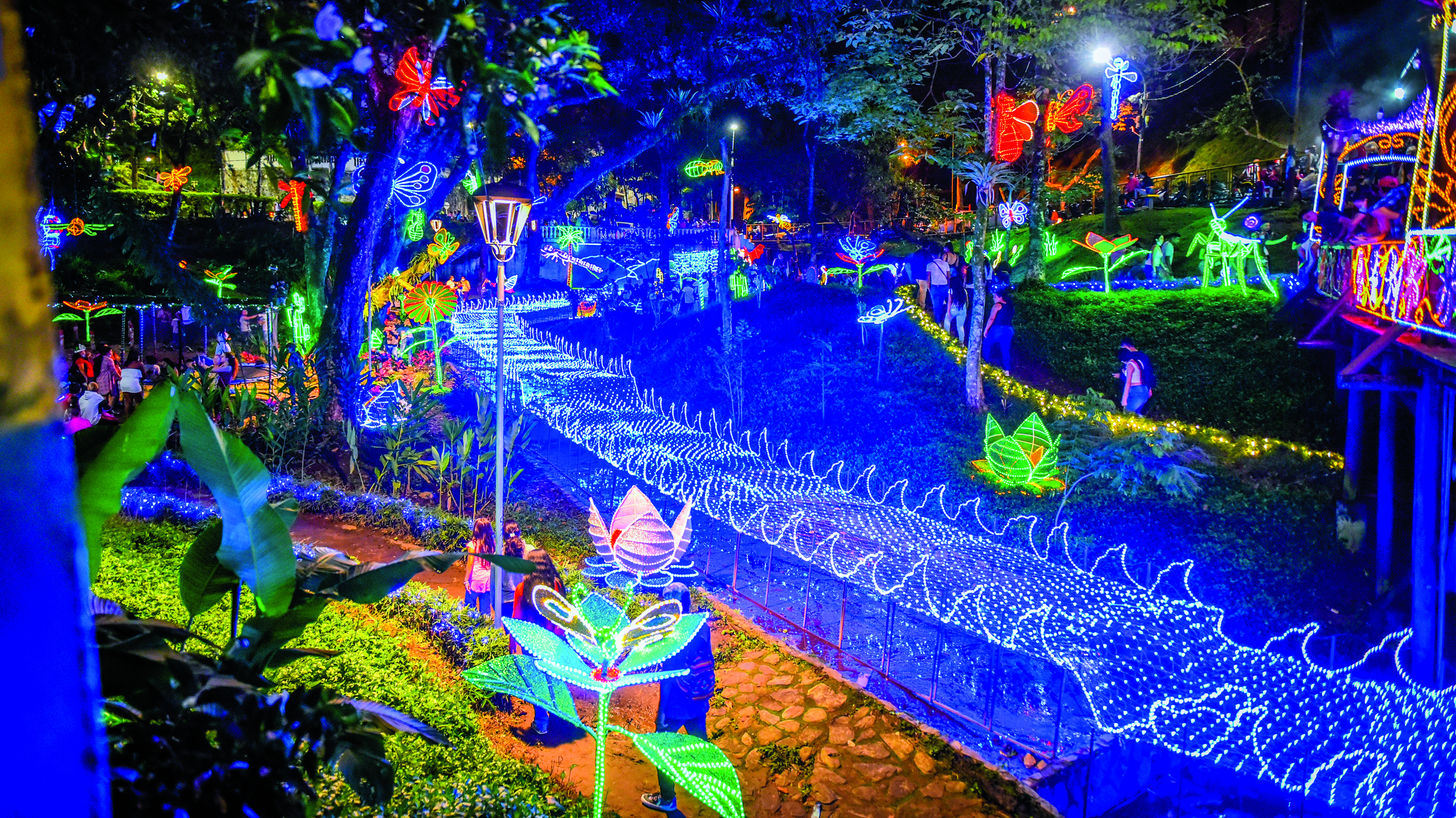 Ibagué se propuso crear una dependencia de alumbrado navideño con el fin de ahorrar costos.