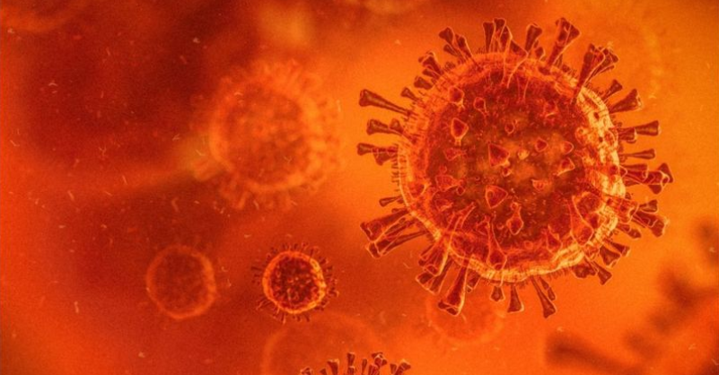 En la variante de Manaos se produjeron cambios en los genes que codifican en los genes que condifican la espícula, la estructura en la superficie del virus que le permite invadir las células de nuestro cuerpo.