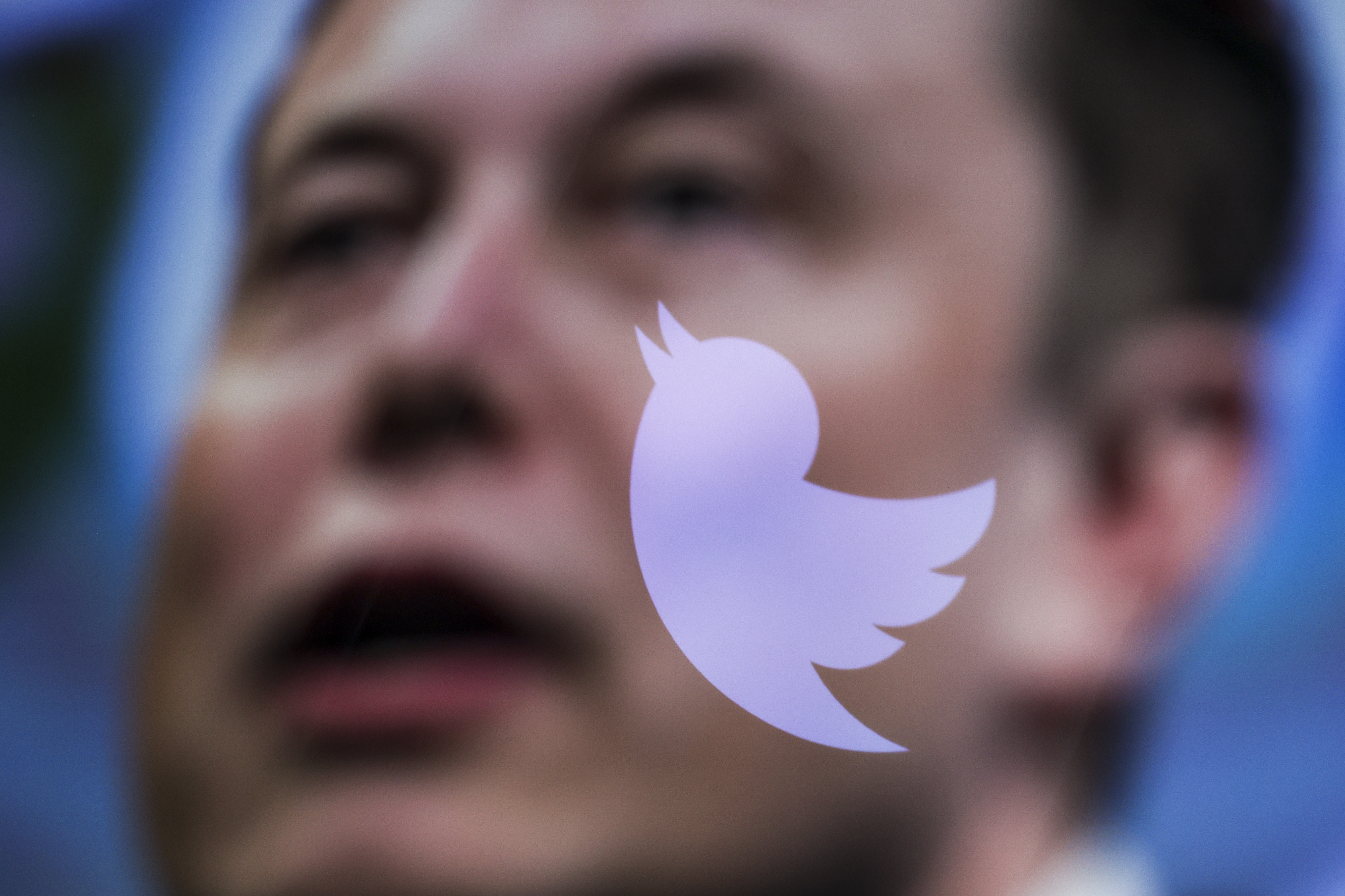 ANKARA, TURKIYE - OCTOBER 06: In this photo illustration, the image of Elon Musk is displayed on a computer screen and the logo of twitter is reflected in Ankara, Turkiye on October 06, 2022. Muhammed Selim Korkutata / Anadolu Agency