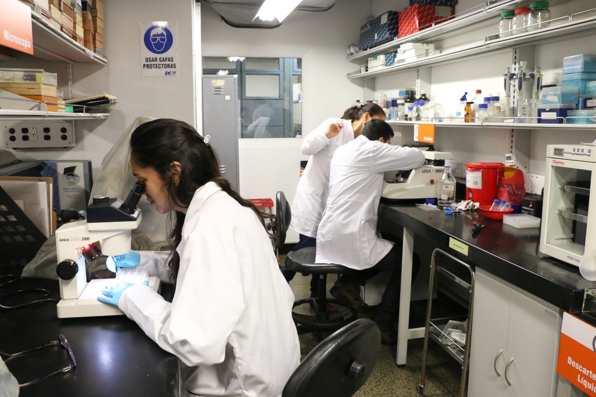 Finalizó la primera etapa del ensayo clínico del medicamento para el Alzheimer de la UdeA