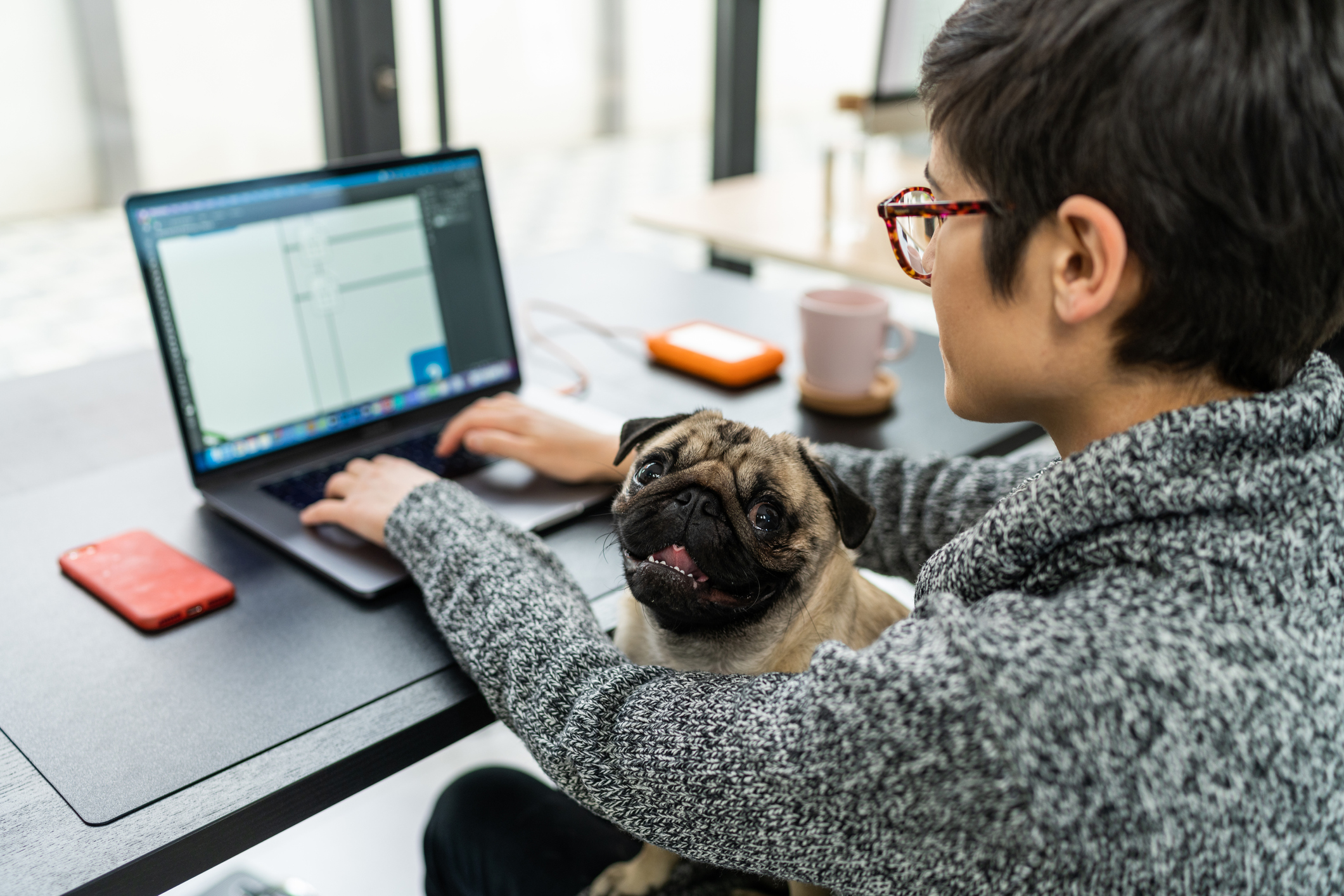 Con este anuncio, la Dian se convierte en la primera entidad del orden nacional que permite mascotas en sus instalaciones.