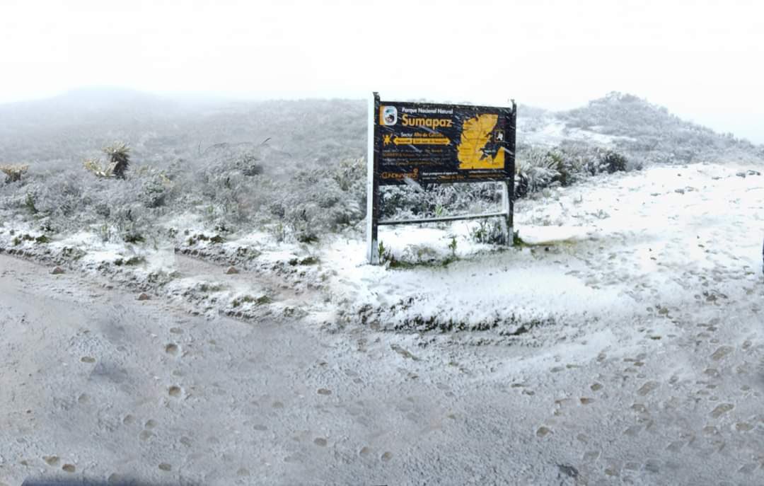 Después de 60 años, volvió a caer nieve en la localidad de Sumapaz, en Bogotá.