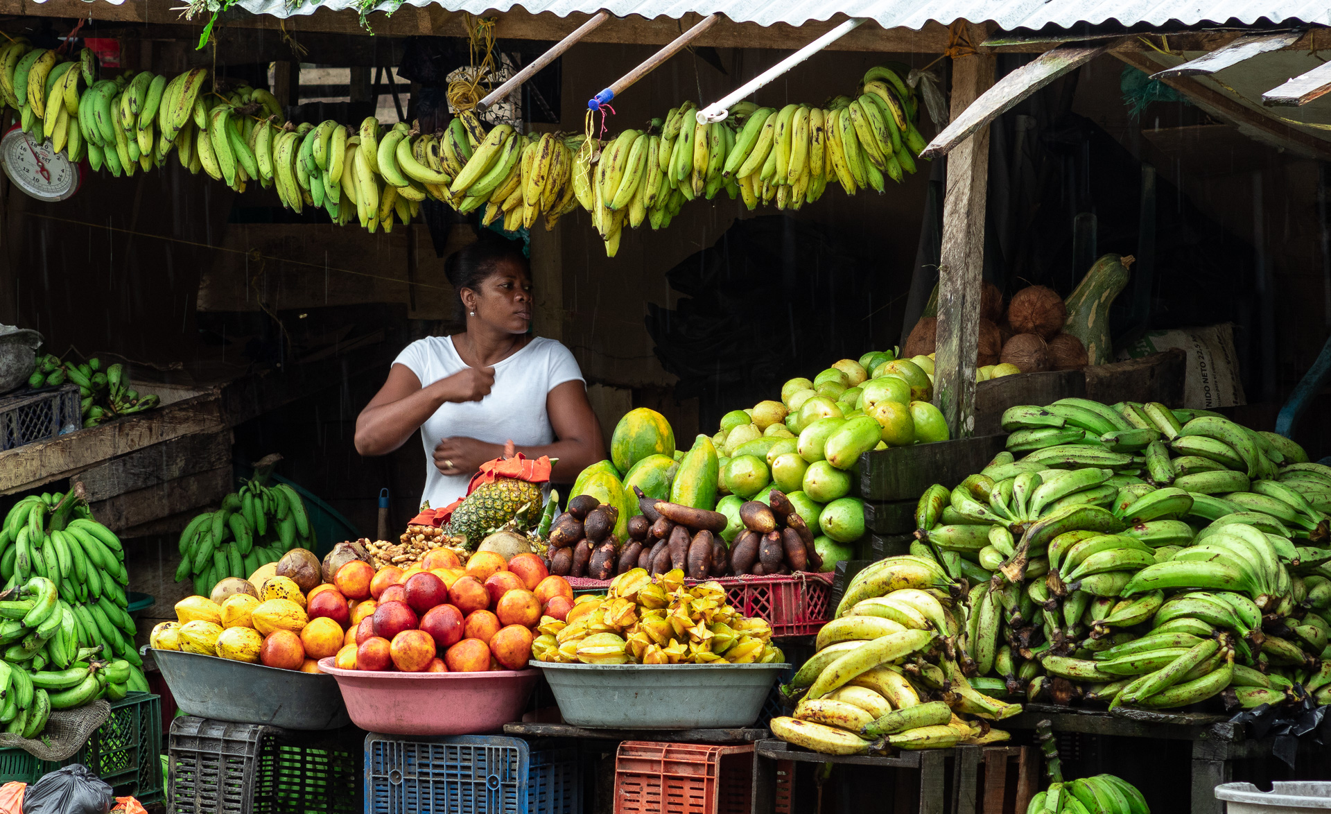 Quibdó, además de la magia de sus recursos naturales, está acompañada por una diversidad de frutas, colores e historias que se viven a lo largo de la ciudad y en sus plazas de mercado.