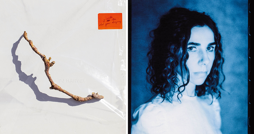 En este, el décimo disco de su carrera, Polly Jean Harvey habitó las escenas sonoras que estableció su productor, Flood. Este siglo, ella abandonó la rigidez y experimenta mucho más. 