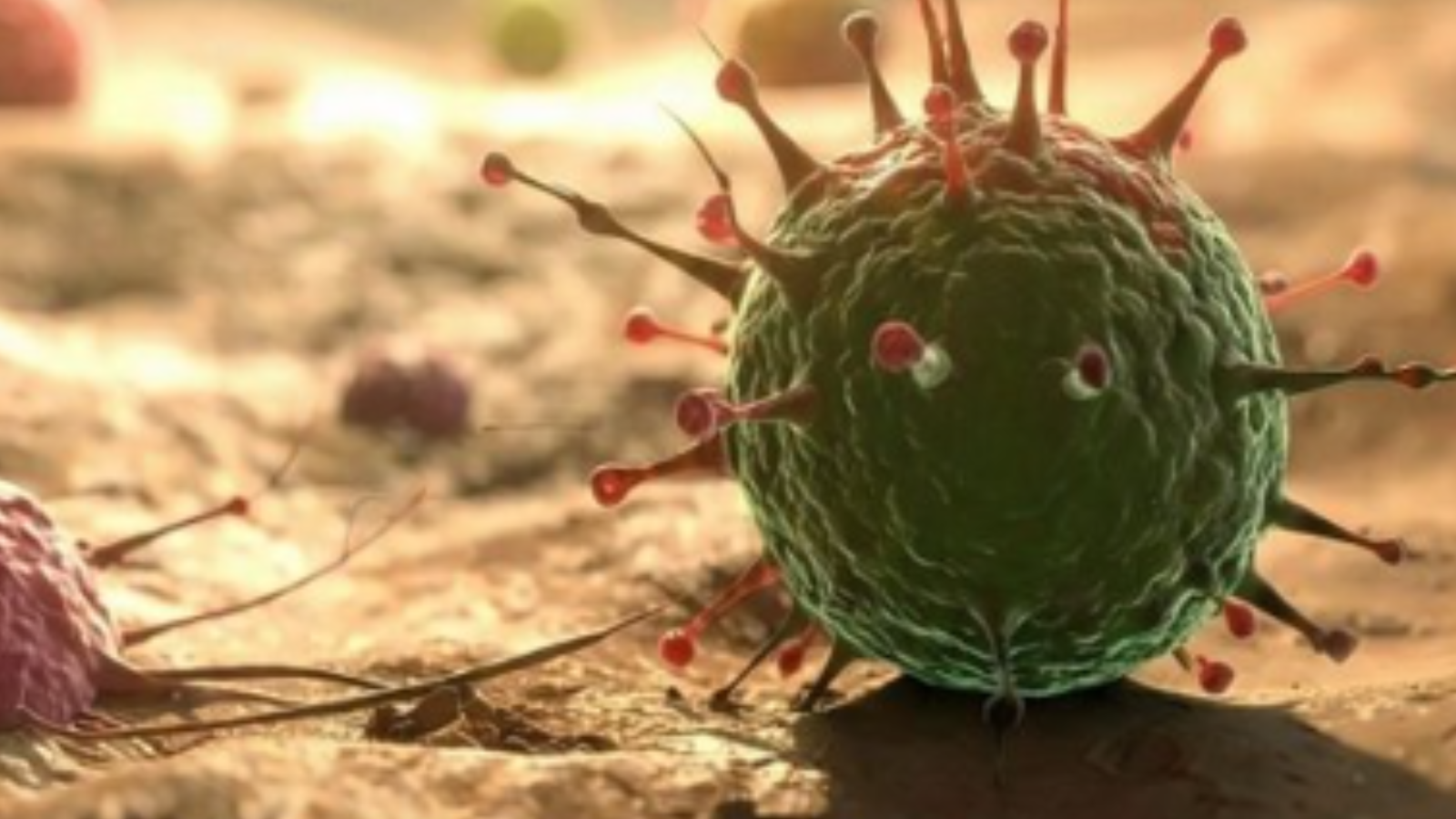 Alerta mundial por el nuevo virus Nipah; cinco casos confirmados en India: estos son sus síntomas