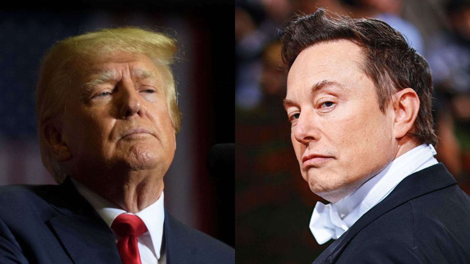 Donald Trump, expresidente de Estados Unidos y Elon Musk , dueño de Twitter.