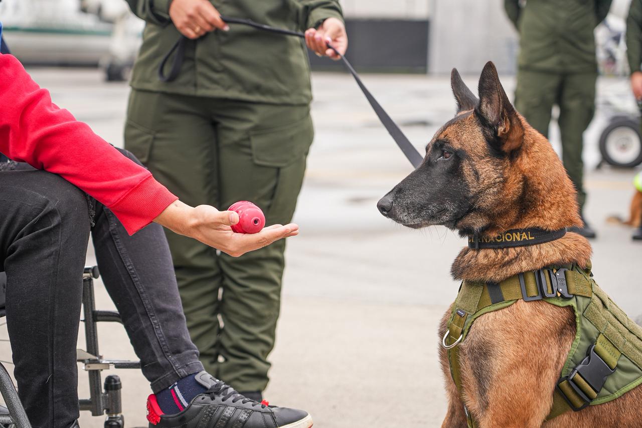 El emotivo momento en que el patrullero Diego Herrera se reencuentra con su perro  Telmo tras sobrevivir al atentado de Amalfi - El País