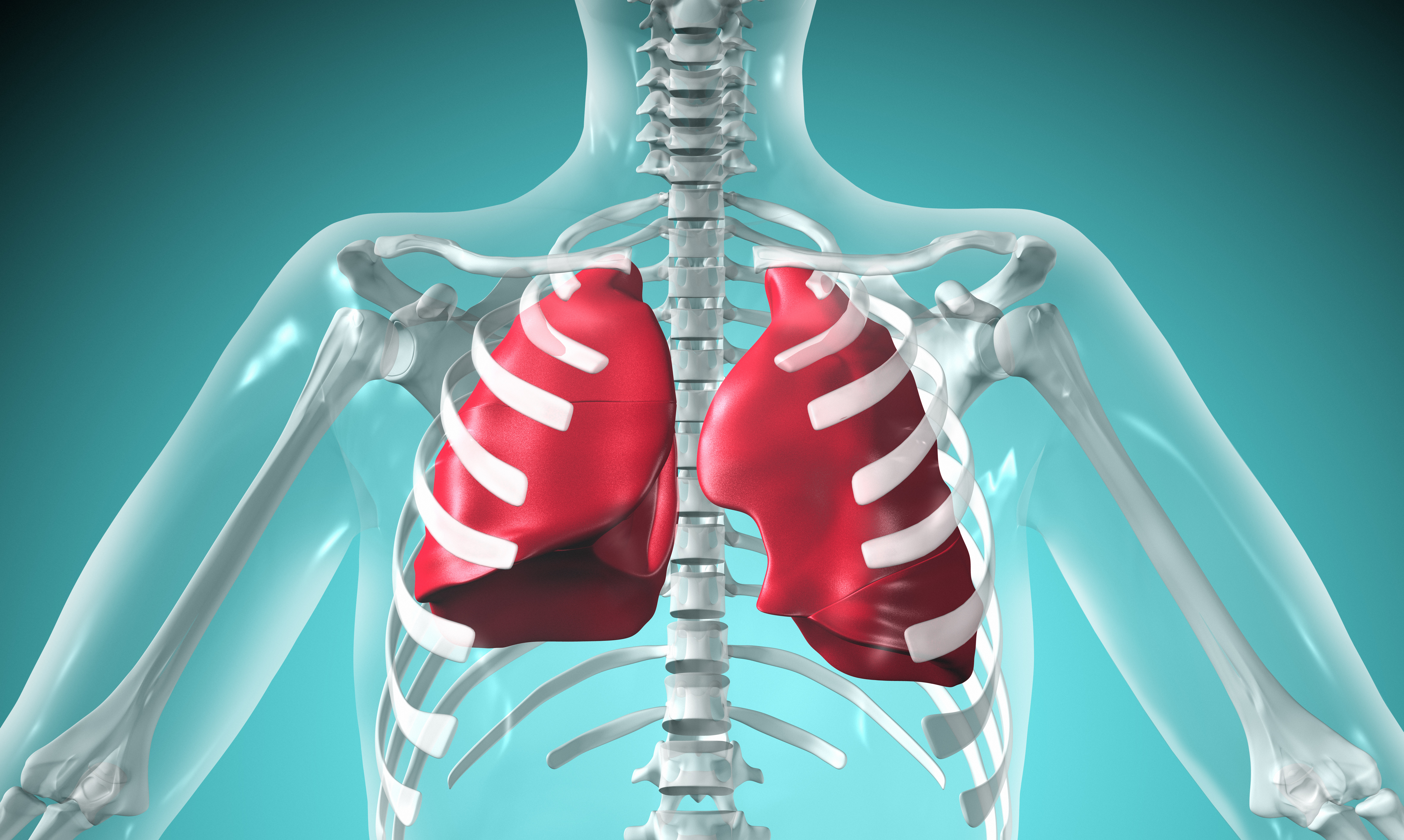 Cómo sacar la flema de los pulmones con remedios caseros?