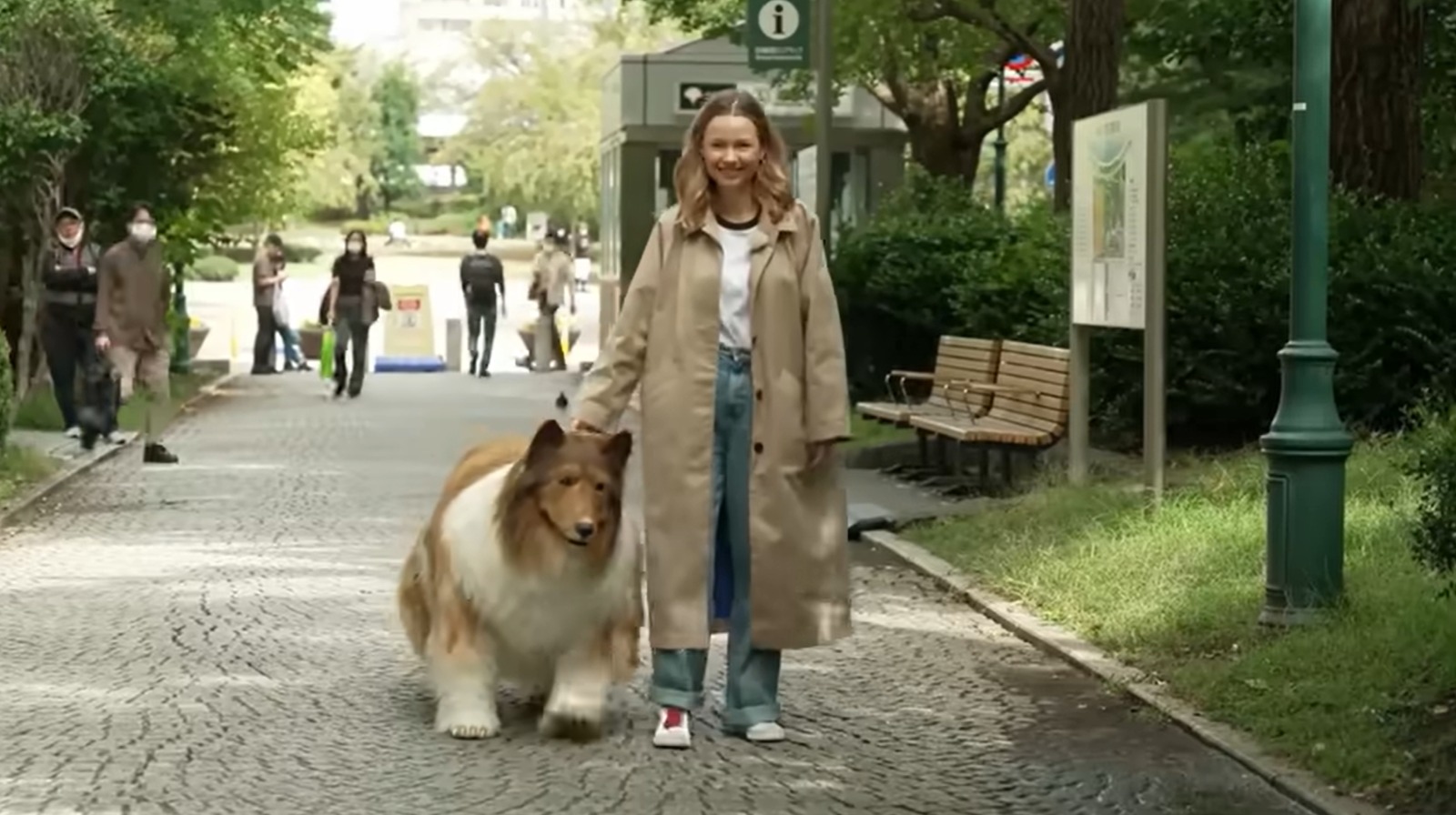 Un youtuber hace su sueño realidad de convertirse en un Border Collie y sale por primera vez a la calle