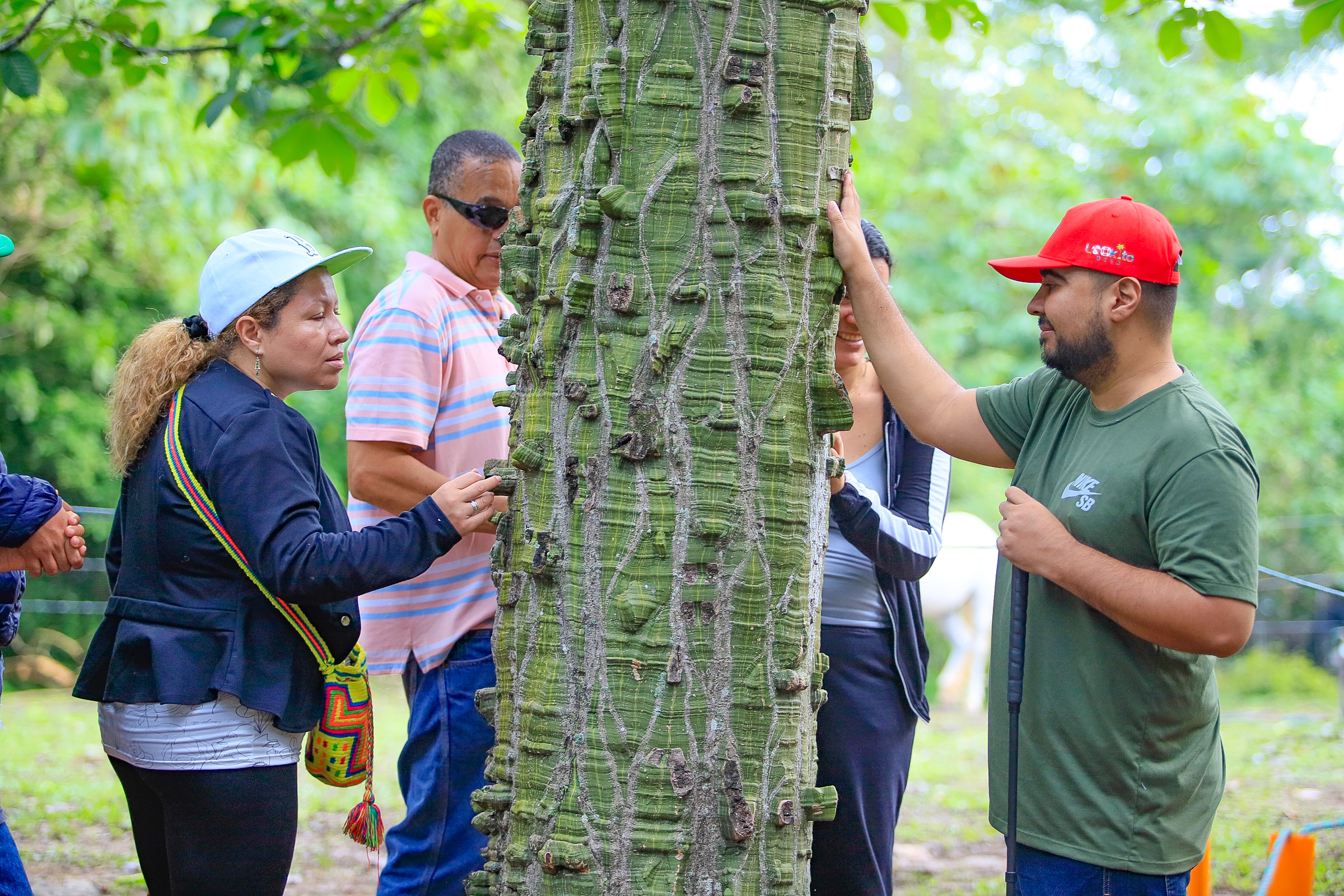 La ruta sensorial sonora de aves de San Jerónimo es la primera en el país.