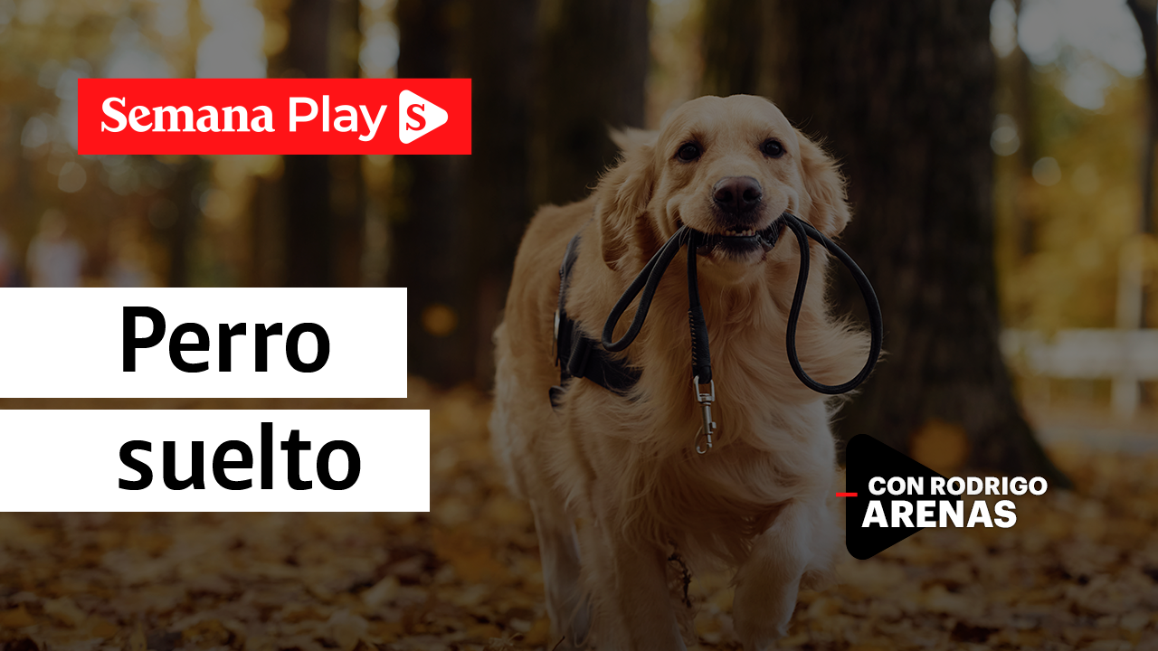 Perro suelto | Rodrigo Arenas en EduCANdo Manadas