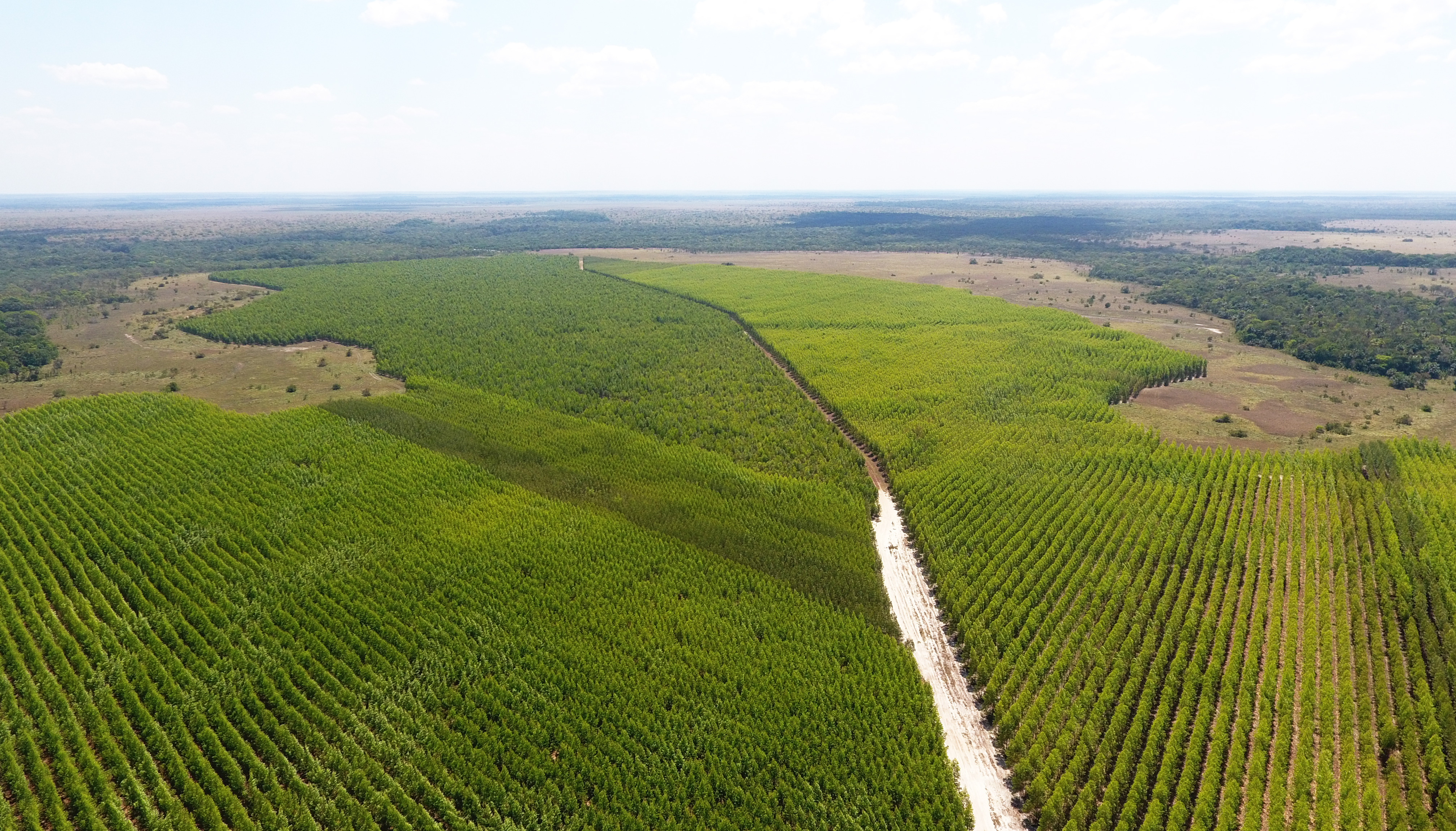 InverBosques, Especial Pulmón verde