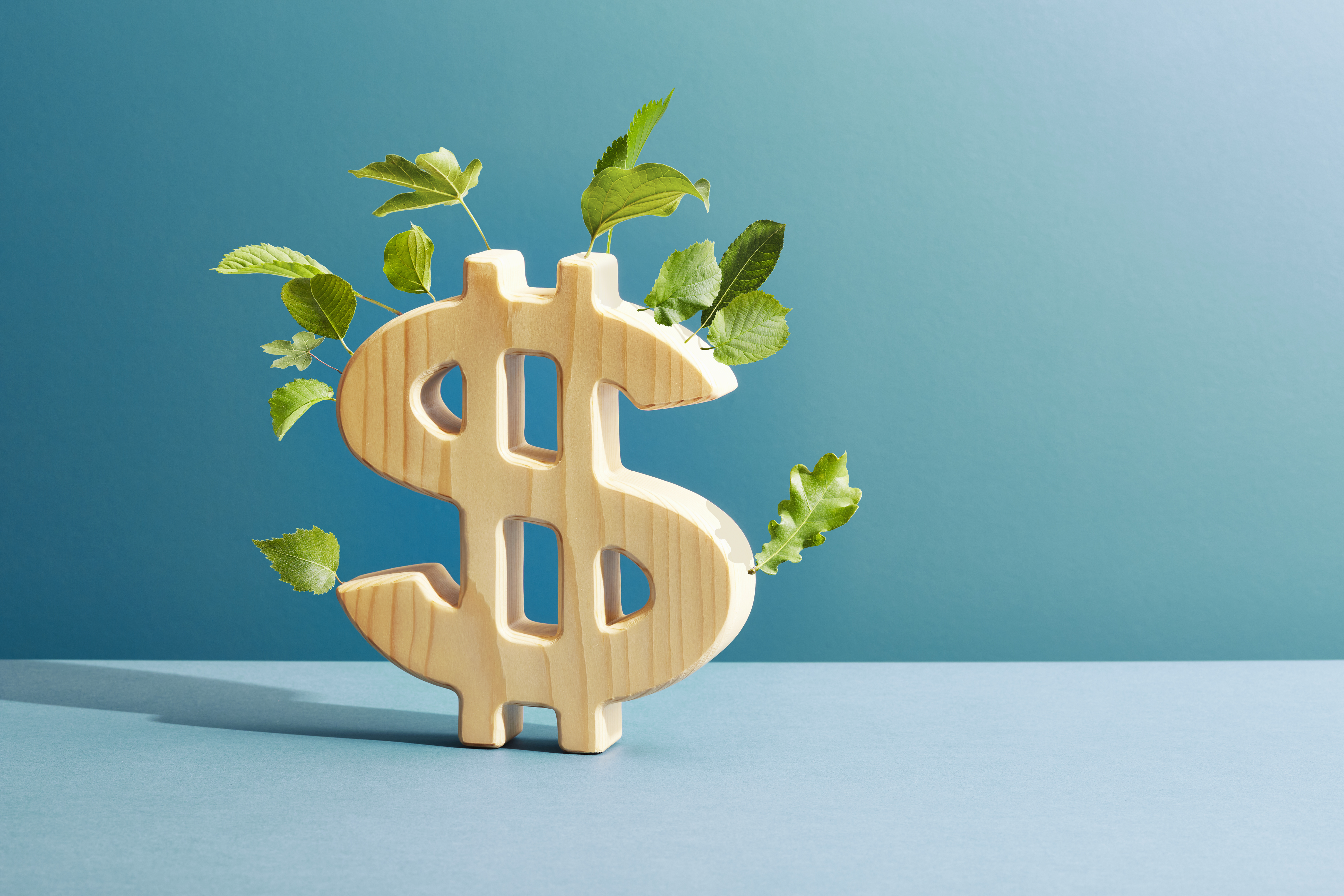 La buena energía y la fortuna están cerca a las plantas millonarias