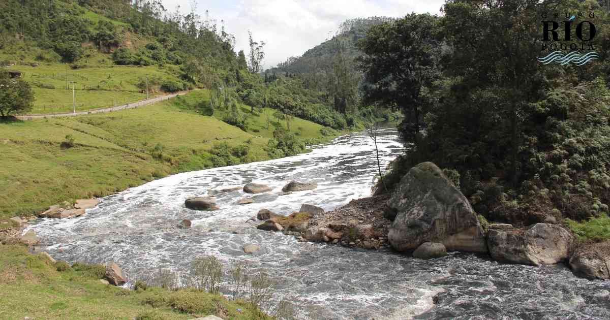 Implementar buenas prácticas ambientales en los procesos productivos de las empresas es clave para el mejoramiento de la cuenca del Bogotá. Foto: Nicolás Ortiz.