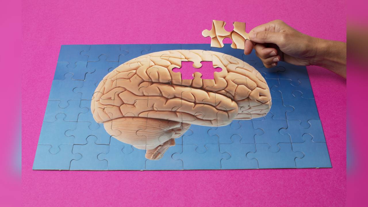 Los suplementos para la memoria son de gran ayuda para los estudiantes, los trabajadores que viven bajo estrés y en la vejez.