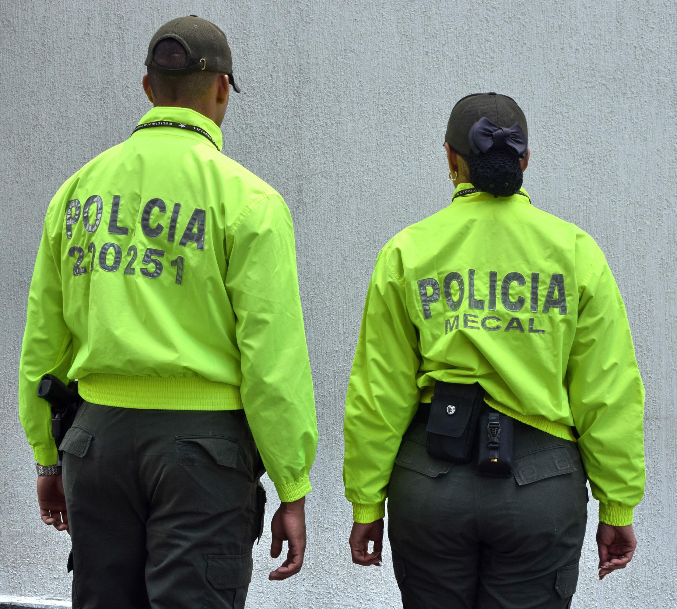 Placa de la Policía Nacional de Colombia, La placa policial…
