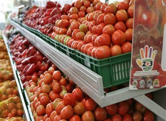 Por qué los recipientes plásticos no son buenos para conservar estos  alimentos?