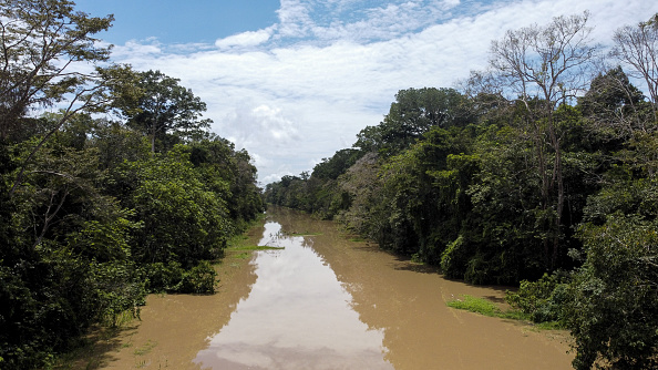 La entidad consideró que se esperan lluvias más intensas en el Sahel, el norte de Europa, Alaska y el norte de Siberia, así como condiciones más secas en algunas partes de la Amazonía, América Central, Indonesia y Australia. (Photo by Juancho Torres/Anadolu Agency via Getty Images)